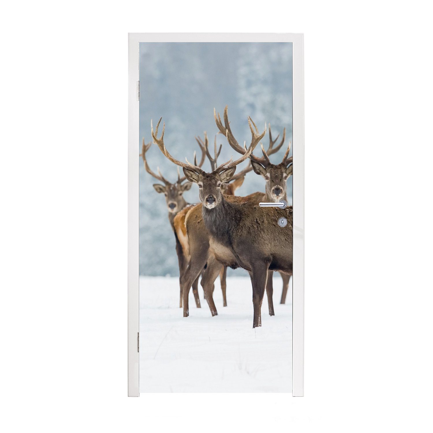 St), - Tür, Fototapete - für Türtapete (1 - Türaufkleber, 75x205 Winter Landschaft bedruckt, MuchoWow Tiere - Schnee Hirsche - cm Matt, Natur,