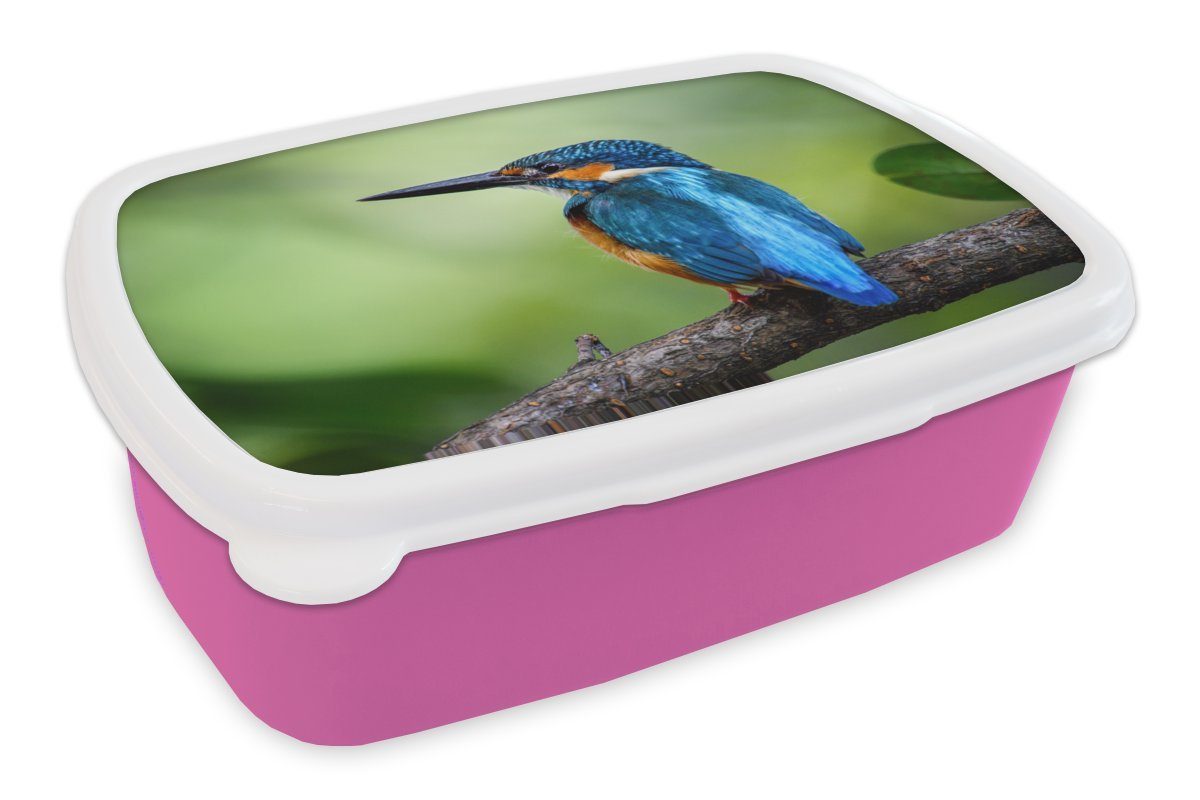 - Kinder, Brotdose Zweig Snackbox, rosa Kunststoff Blau, Lunchbox - (2-tlg), für Eisvogel Erwachsene, Mädchen, MuchoWow Brotbox Kunststoff,