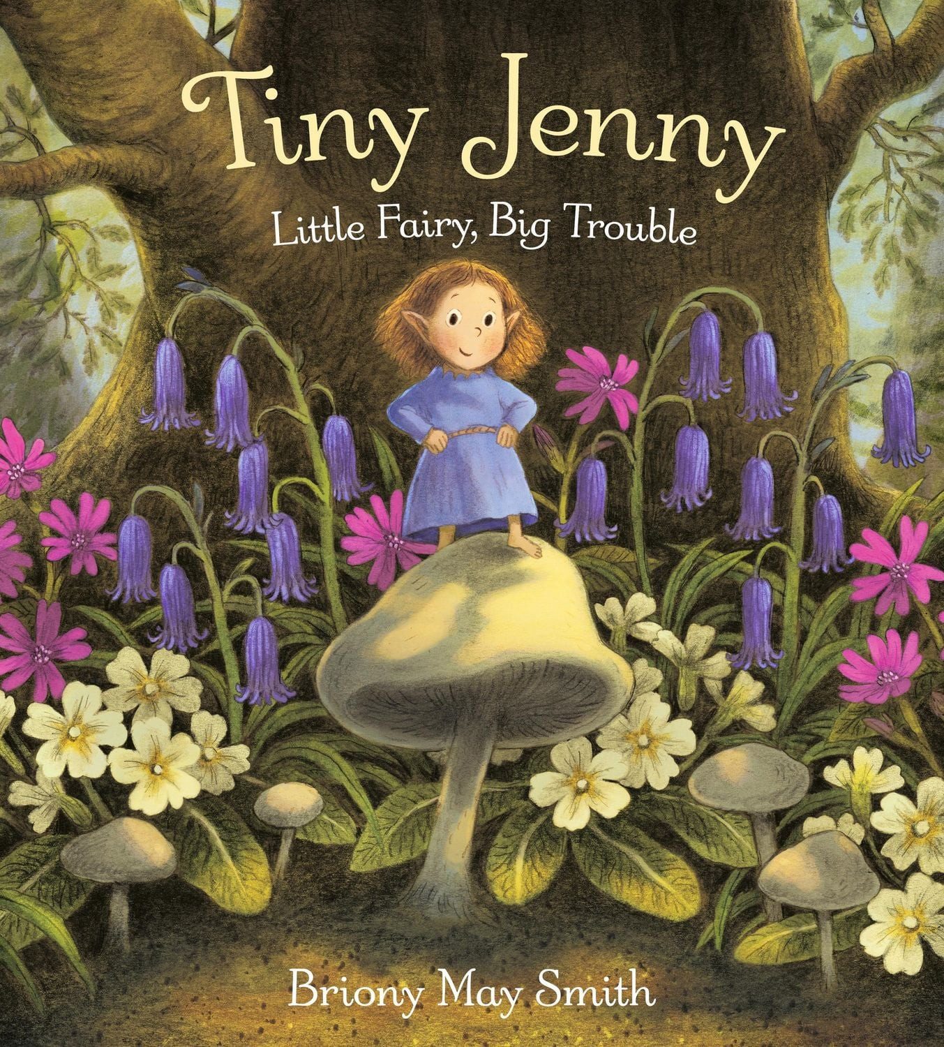 Tiny Jenny: Little Fairy, Big Trouble A magical tale of found family f / Briony May Smith