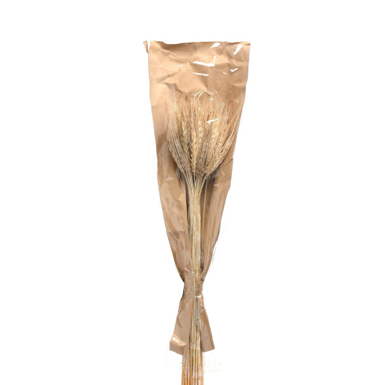 Trockenblumenbund Depot, Trockenblume Ähren, L 58 aus Zentimeter Trockenblume,