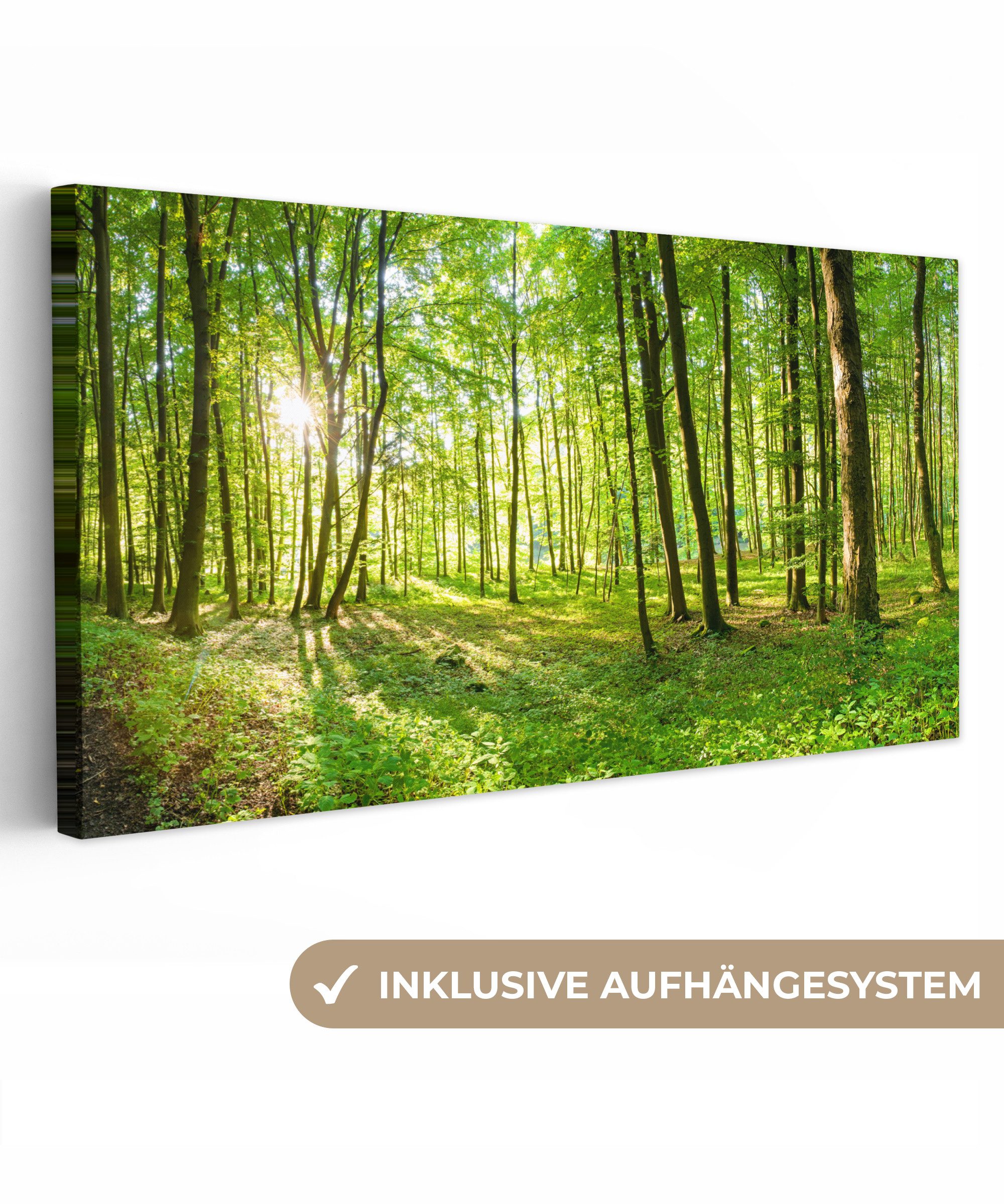 OneMillionCanvasses® Leinwandbild Panorama Natur - Bäume - Wald - Grün - Sonnenlicht, Fotodruck (1 St), Wandbild, Deko Schlafzimmer Wohnzimmer Flur 40x20 cm