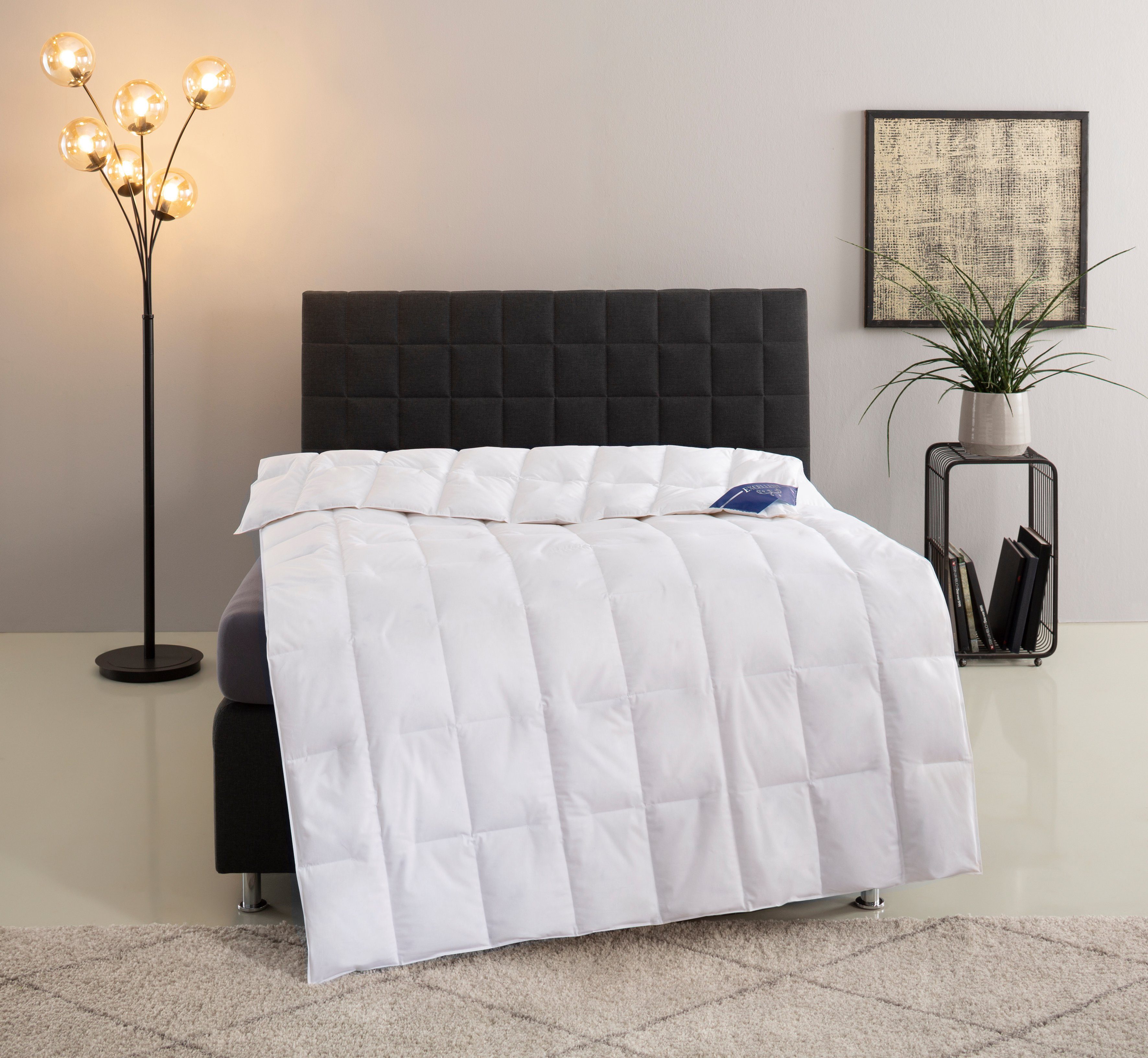 Daunenbettdecke, »VENEDIG«, Excellent, Füllung: 90% Daunen, 10% Federn, Bezug: 100% Baumwolle, Anschmiegsam und kuschelig