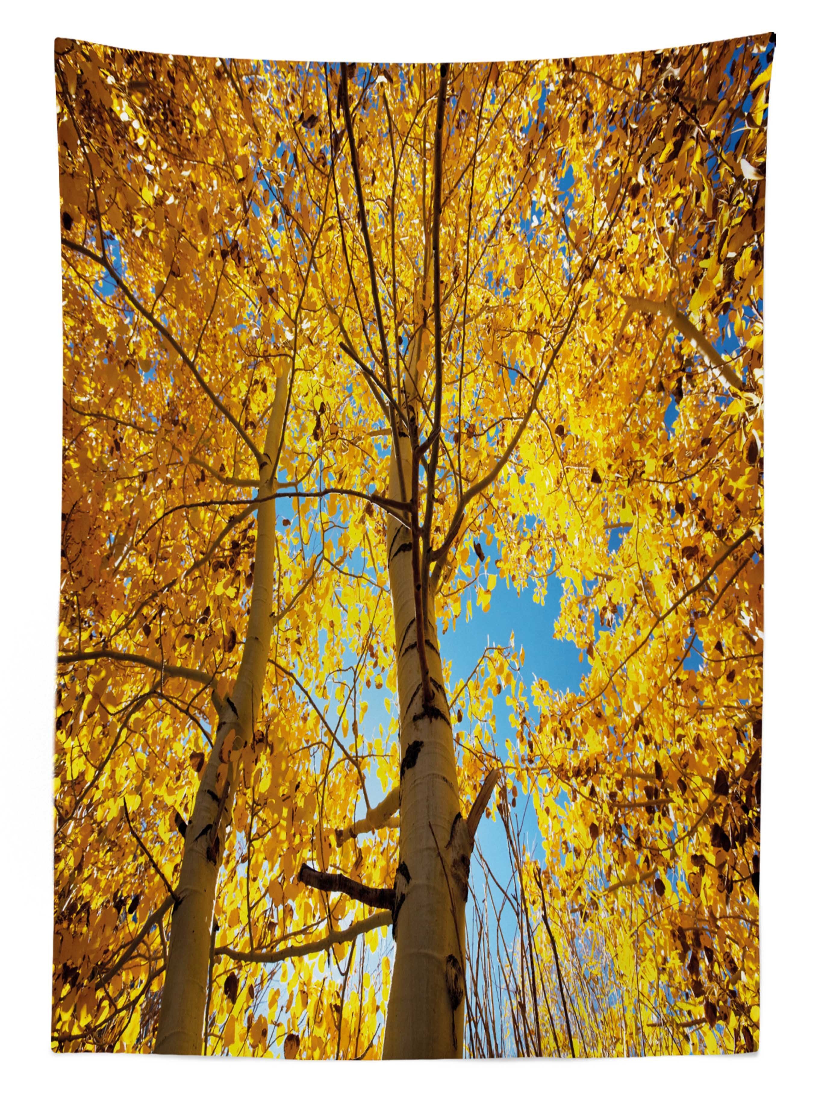 Farbfest geeignet im den Waschbar Tischdecke Wald Abakuhaus Farben, Bäume Natur Für Klare Außen Herbst Bereich Blatt