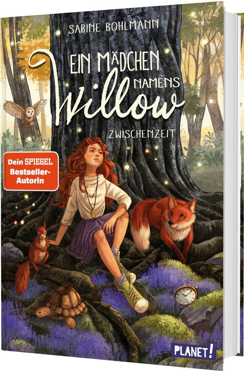 Ein Mädchen namens Willow 6: Zwischenzeit / Sabine Bohlmann