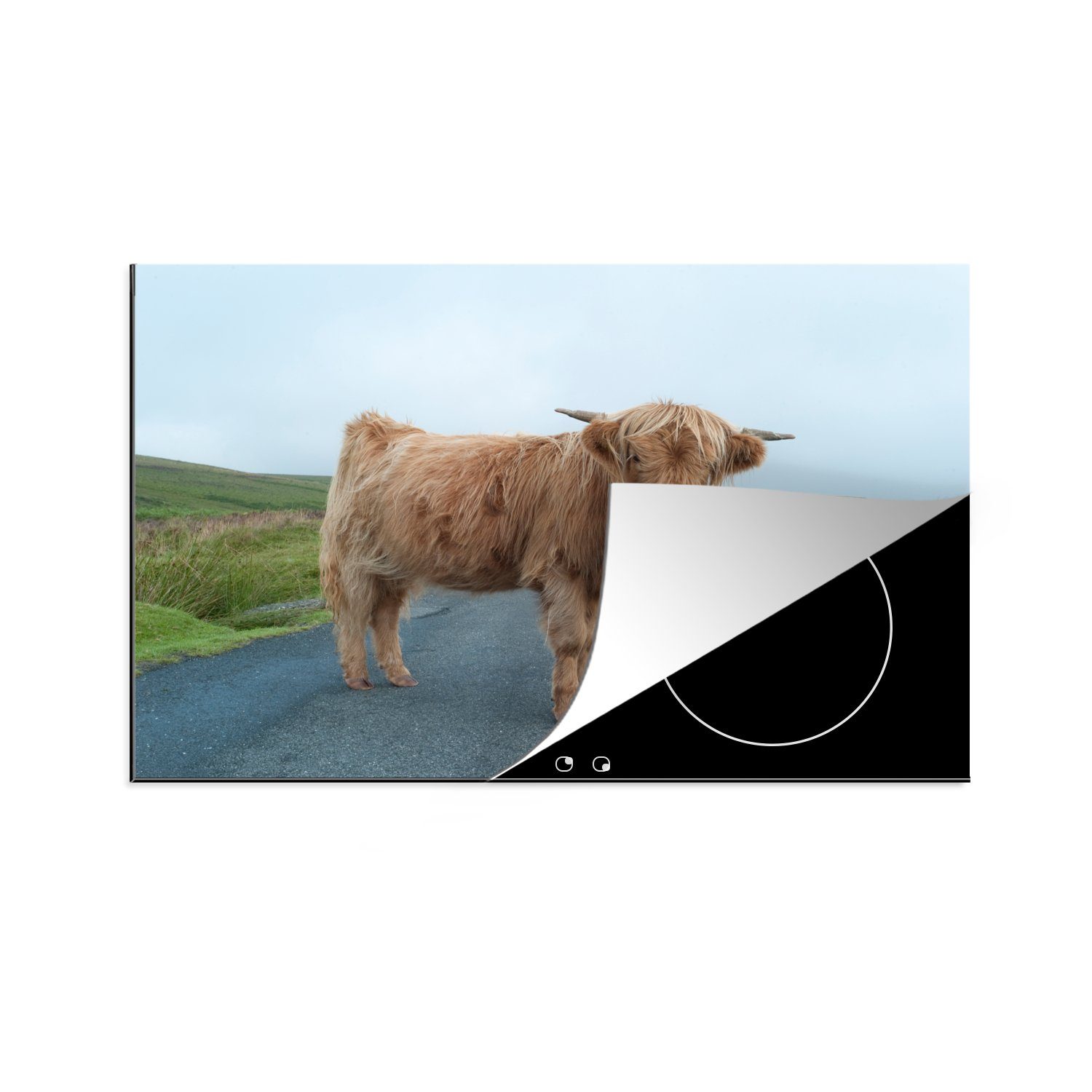 MuchoWow Herdblende-/Abdeckplatte Scottish Highlander - Straße - Gras, Vinyl, (1 tlg), 81x52 cm, Induktionskochfeld Schutz für die küche, Ceranfeldabdeckung