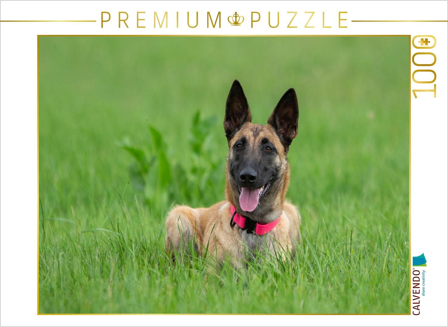Puzzle CALVENDO Puzzle Ein Motiv aus dem Kalender Traumhund Malinois, 1000 T