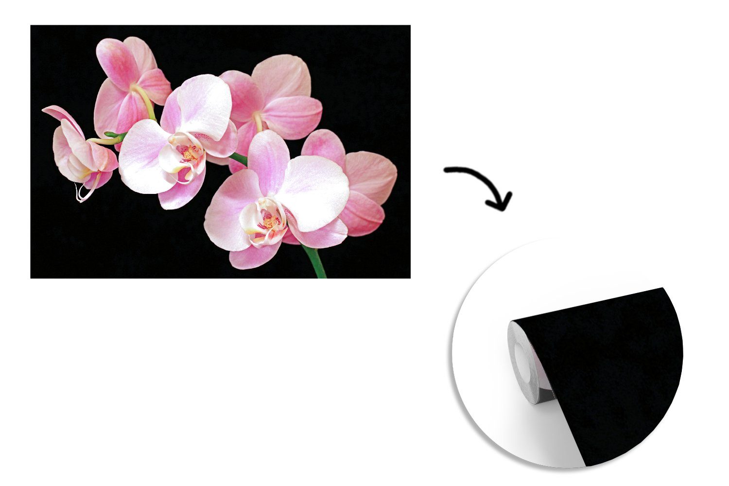 Orchideen Fototapete Vinyl Kinderzimmer, für (6 schwarzen rosa Schlafzimmer, Hintergrund, Tapete Wallpaper von einem Matt, bedruckt, Nahaufnahme Wohnzimmer, MuchoWow St), auf Eine