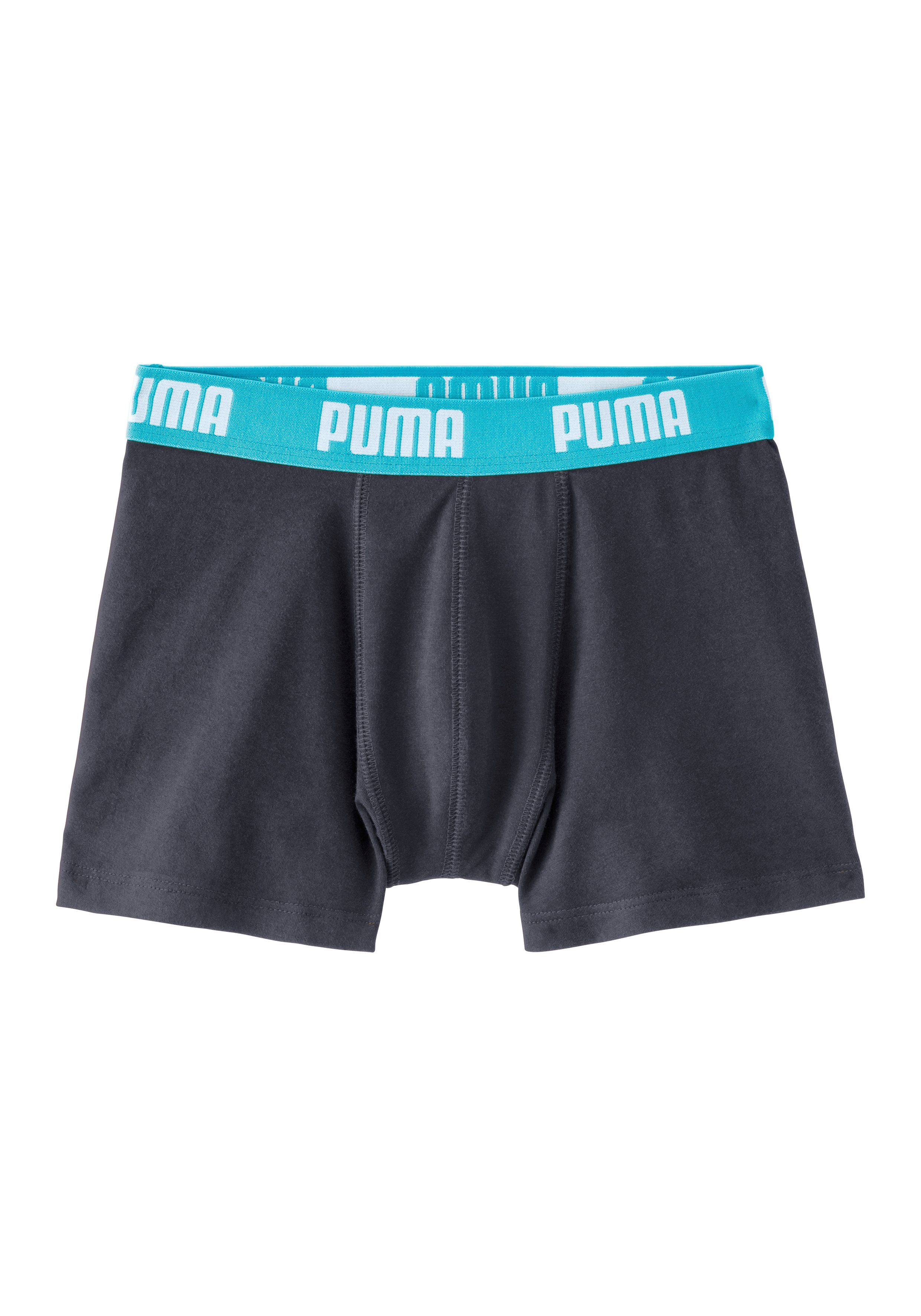 (Packung, PUMA Logo Boxer Webbund mit 2-St)