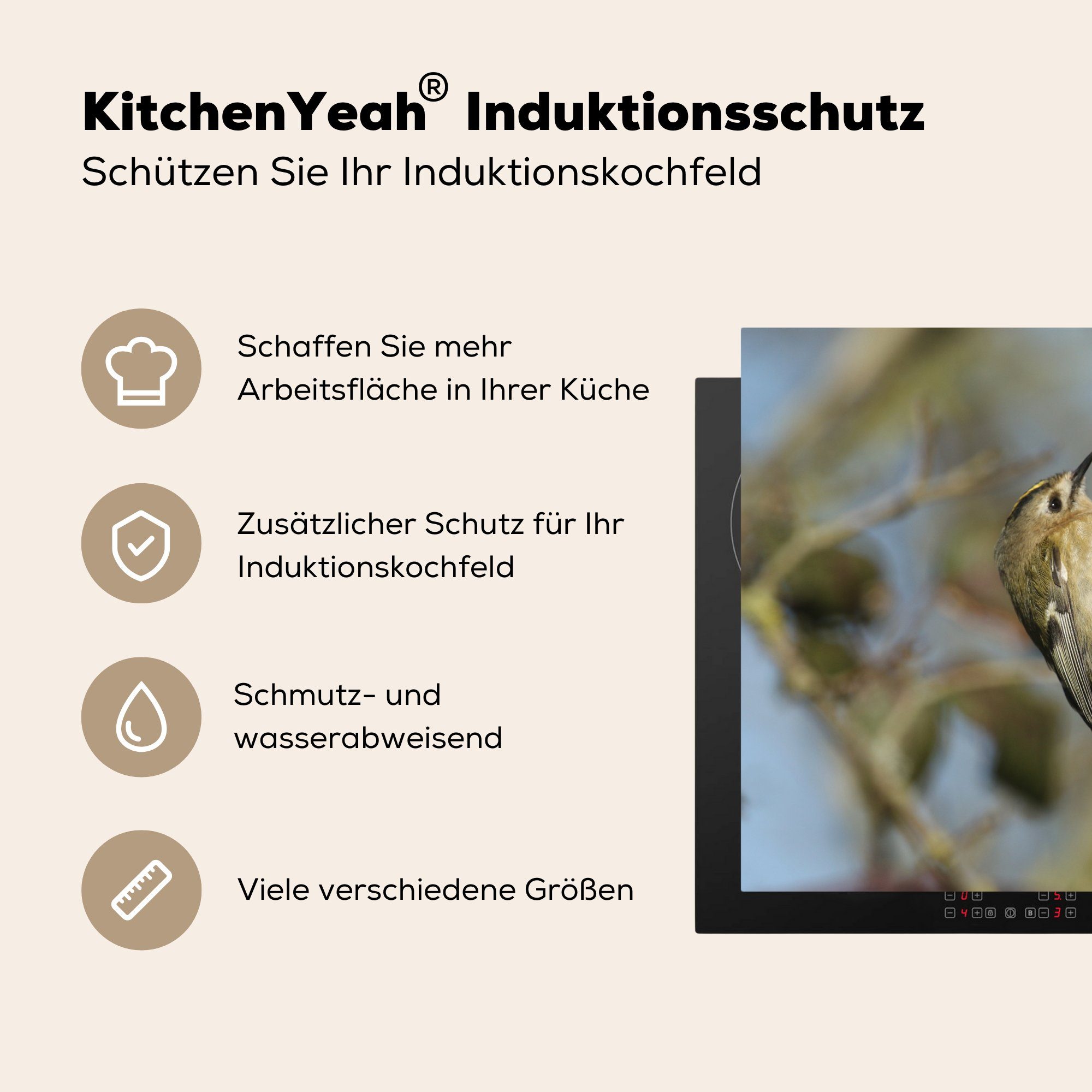 (1 MuchoWow 71x52 Wintergoldhähnchen tlg), Einsames cm, küche, Ceranfeldabdeckung Herdblende-/Abdeckplatte braunen für Vinyl, auf die Ast, einem Schutz Induktionskochfeld