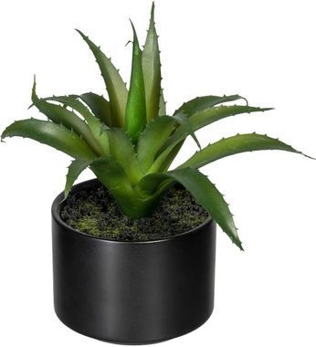 Künstliche Zimmerpflanze Set aus Aloe, Agave und Tillandsie Sukkulente, Creativ green, Höhe 15 cm, im Keramiktopf, 3er Set
