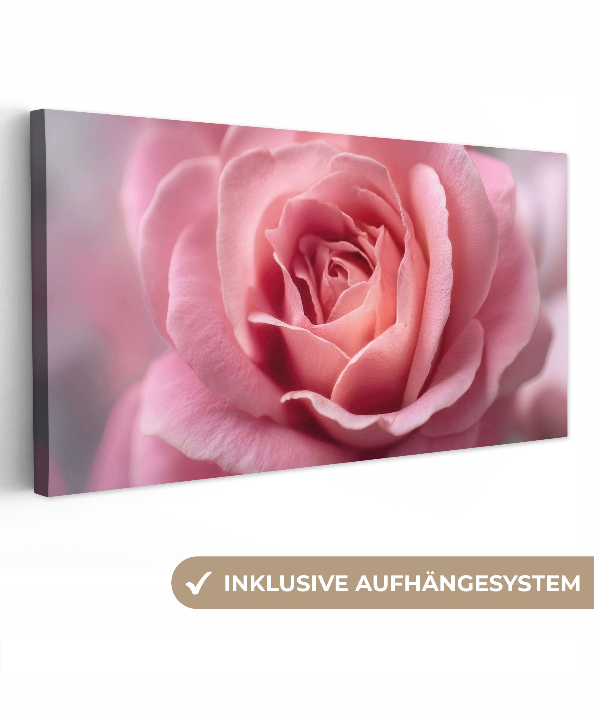 OneMillionCanvasses® Leinwandbild Panorama Rosa - Rose - Romantisch, Fotodruck (1 St), Wandbild, Deko Schlafzimmer Wohnzimmer Flur 40x20 cm