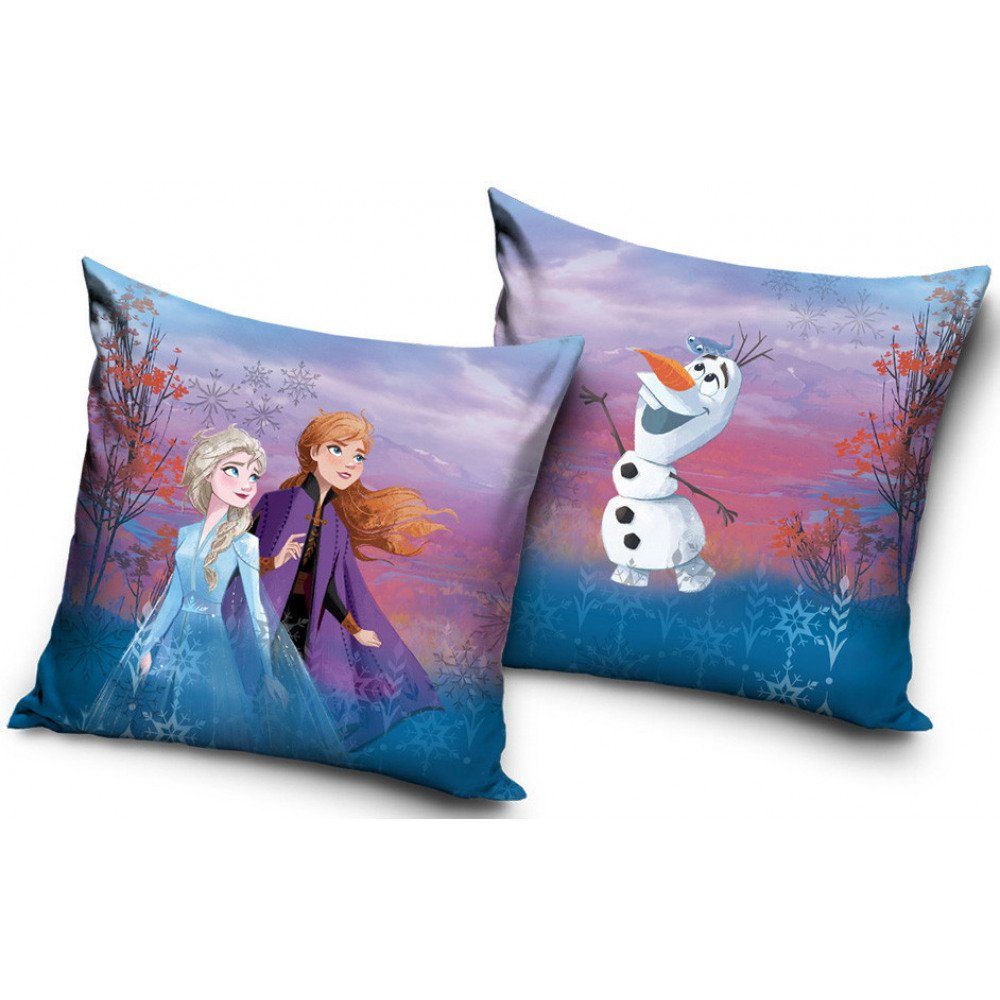 Kissenbezug Disney Frozen die Eiskönigin Kissenbezug Maße ca. 40 x 40 cm, Disney Frozen (1, 1, 1, 1 Stück)