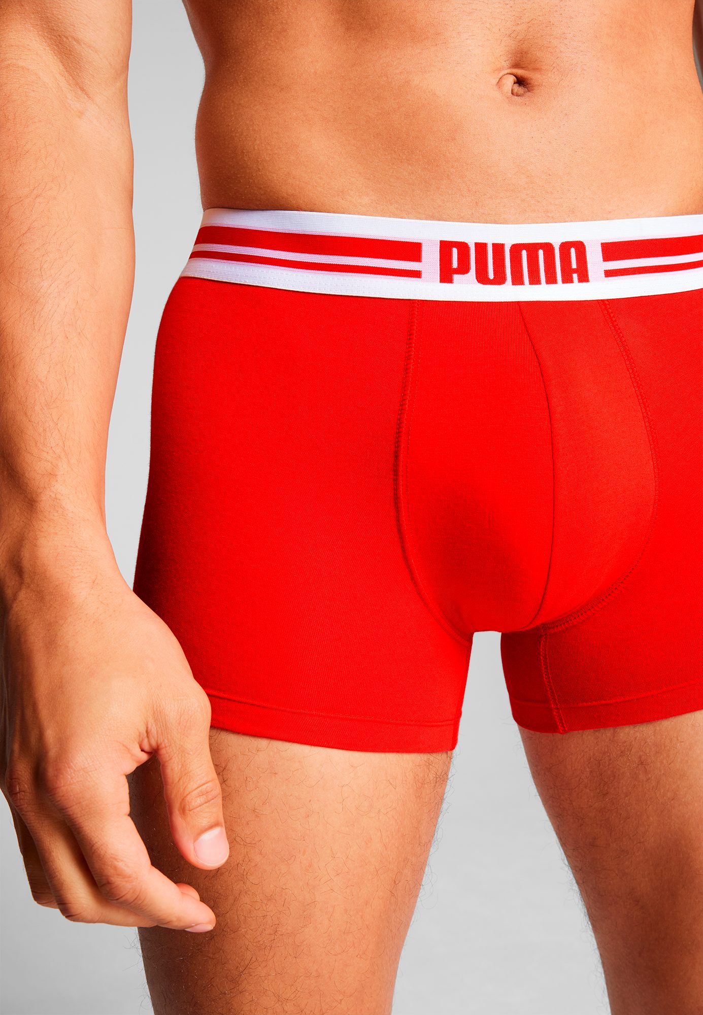 PUMA Boxershorts PUMA MEN EVERYDAY PLACED LOGO BOXERS 2P (2er Pack) mit Logo Webbund – Bild 5 von 5