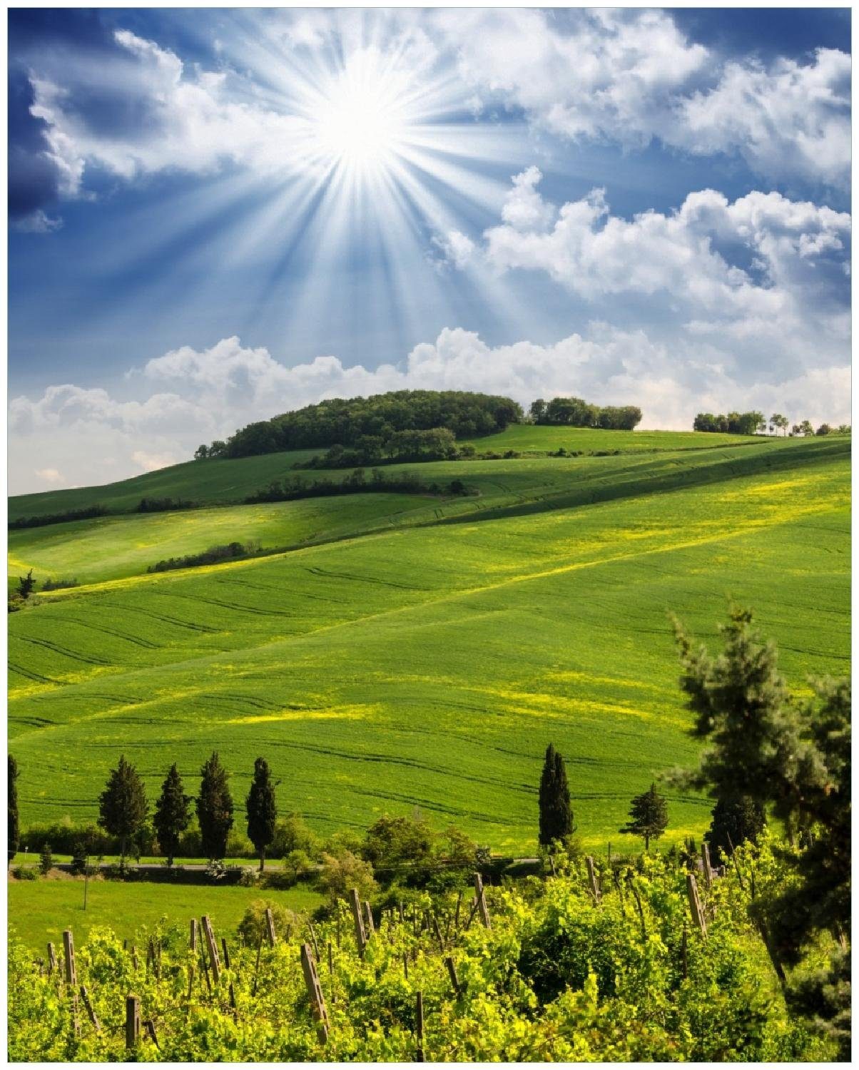 Wallario Poster, Strahlender Sonnenschein, in verschiedenen günstig online kaufen