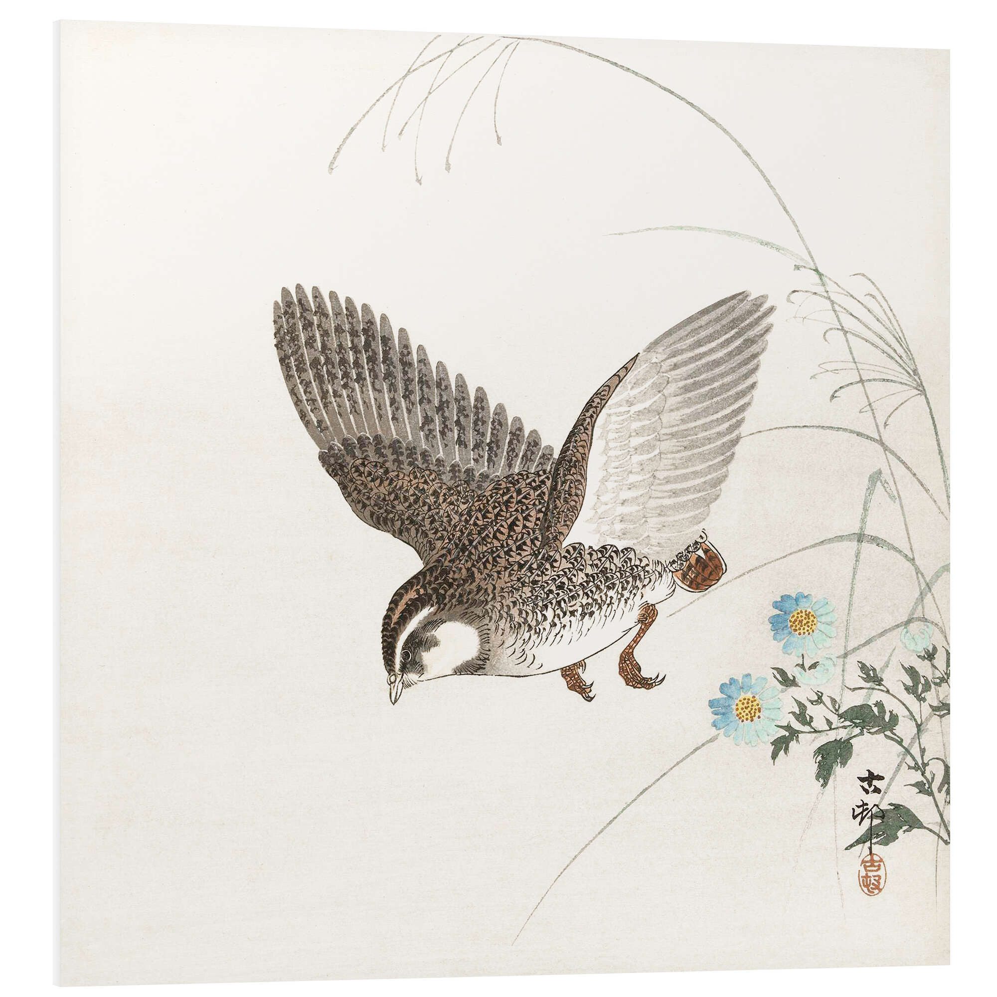 Forex-Bild Ohara Koson