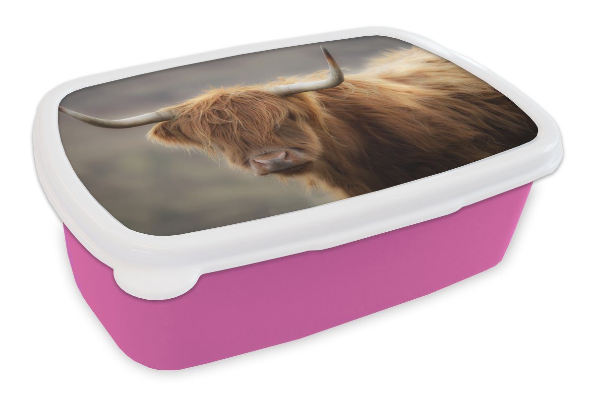 MuchoWow Lunchbox Schottischer Highlander - Licht - Porträt, Kunststoff, (2-tlg), Brotbox für Erwachsene, Brotdose Kinder, Snackbox, Mädchen, Kunststoff rosa