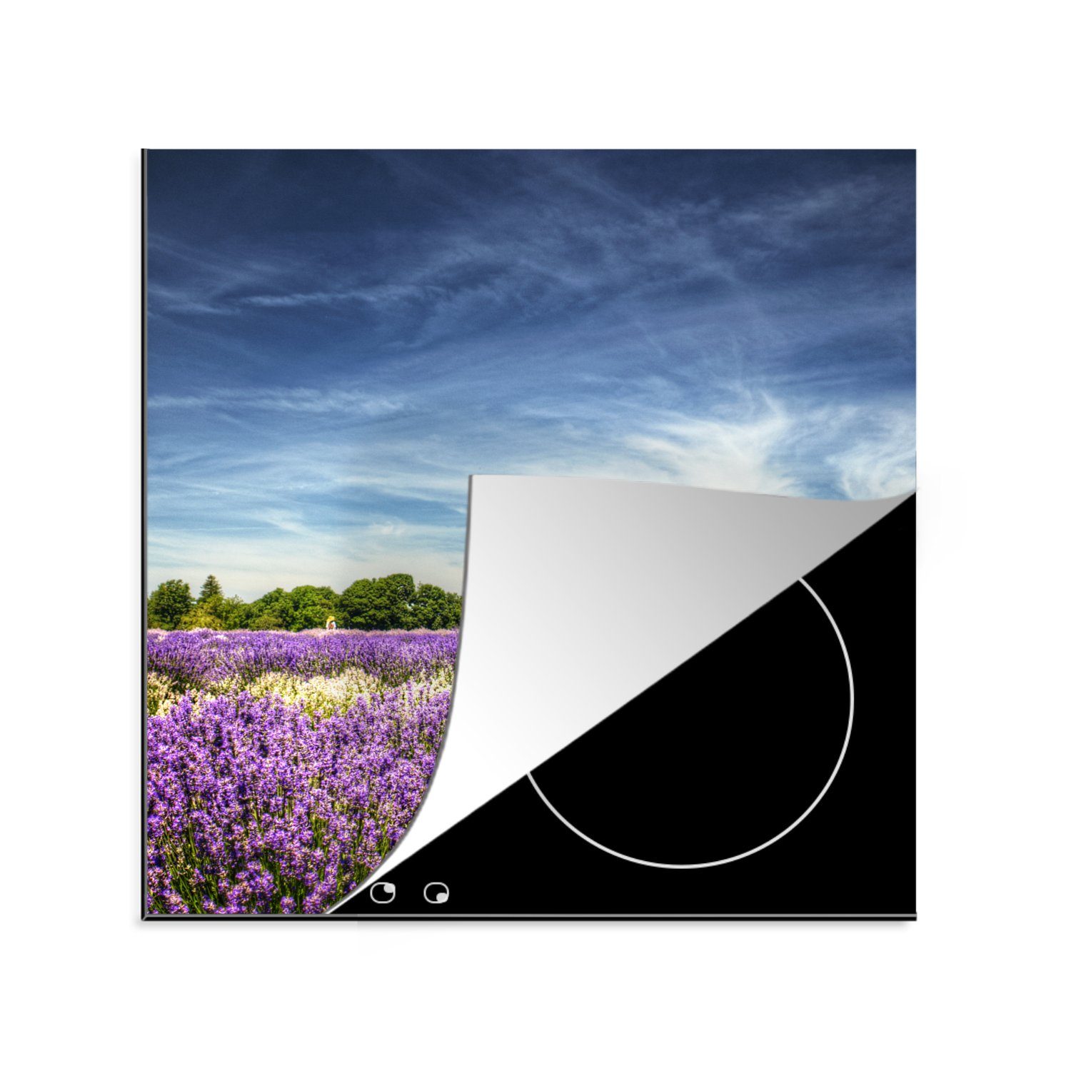 MuchoWow Herdblende-/Abdeckplatte Lila und weiß blühender Lavendel auf einem Feld, Vinyl, (1 tlg), 78x78 cm, Ceranfeldabdeckung, Arbeitsplatte für küche