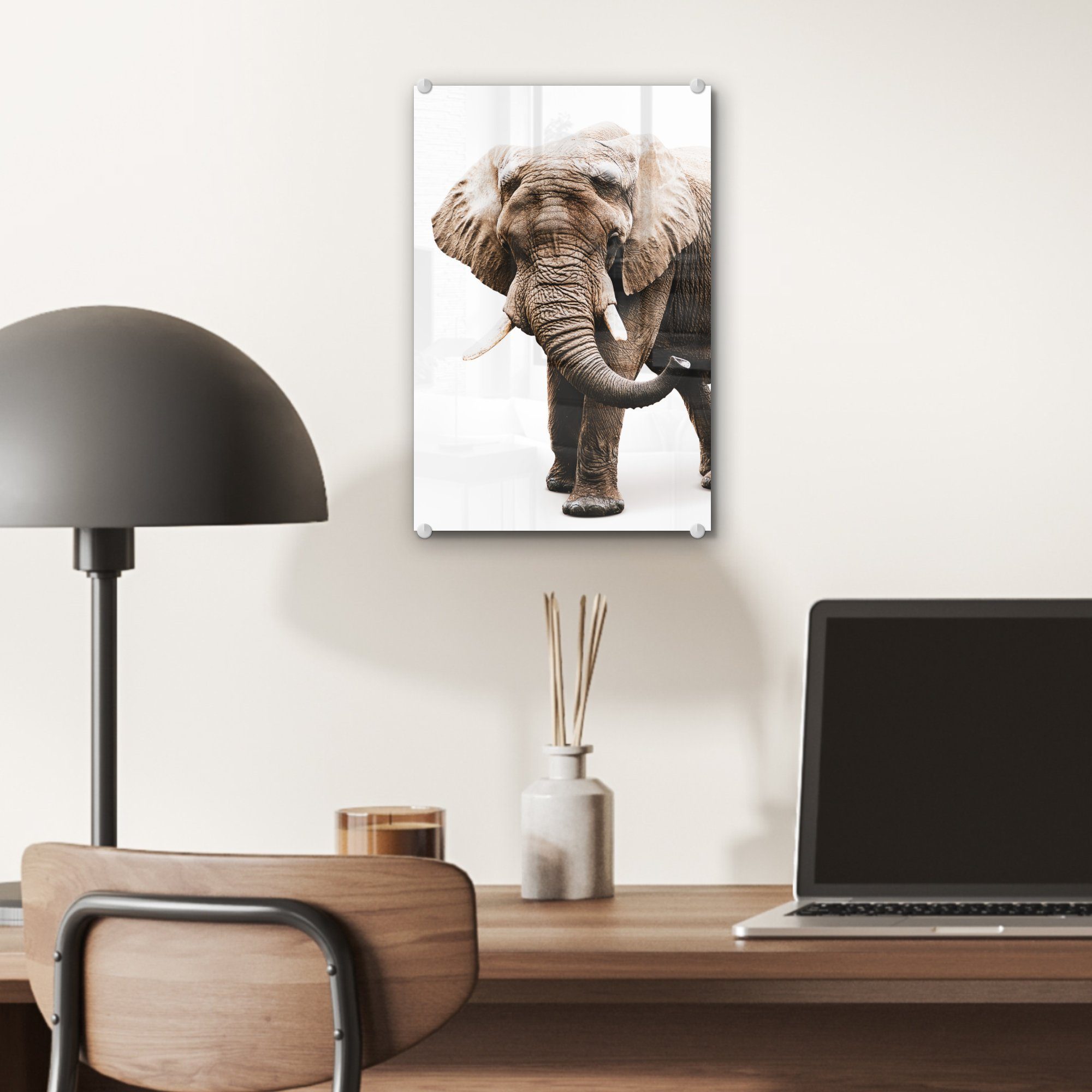 Glas (1 Tiere, MuchoWow Foto Glasbilder - Wanddekoration Wandbild Elefant auf - Glas - Weiß auf - bunt Bilder Acrylglasbild St), -