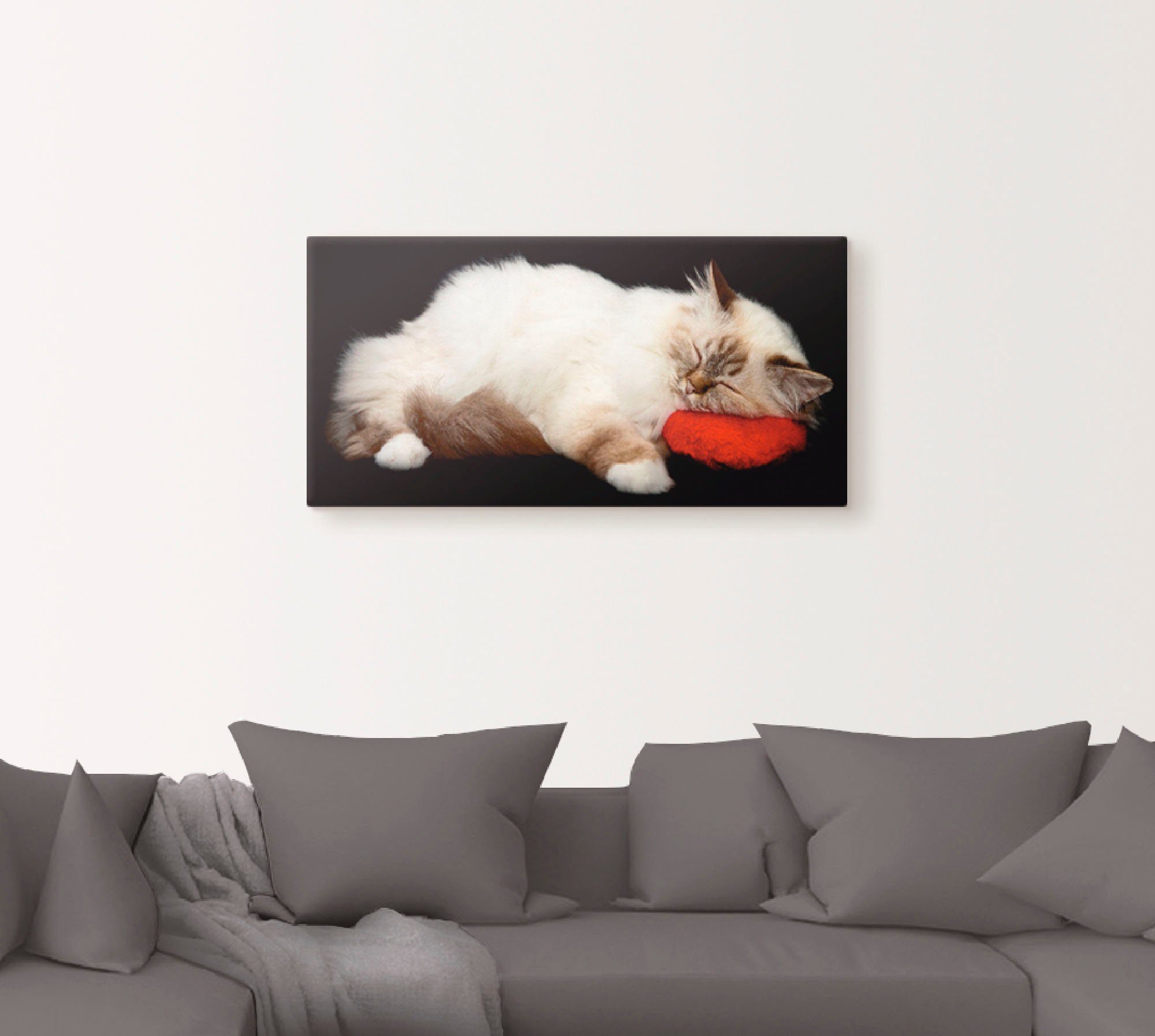 Artland Wandbild »Müde Katze«, Haustiere (1 Stück), in vielen Größen & Produktarten - Alubild / Outdoorbild für den Außenbereich, Leinwandbild, Poster, Wandaufkleber / Wandtattoo auch für Badezimmer geeignet-kaufen