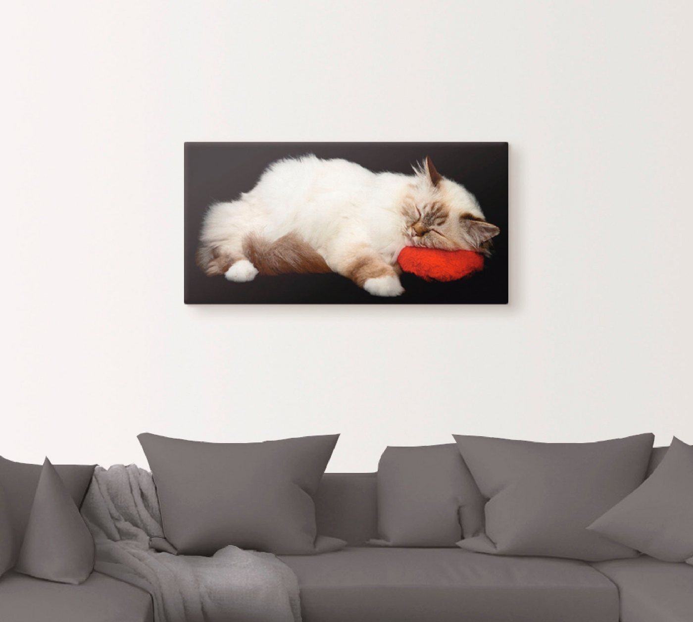 Artland Wandbild »Müde Katze«, Haustiere (1 Stück), in vielen Größen & Produktarten - Alubild / Outdoorbild für den Außenbereich, Leinwandbild, Poster, Wandaufkleber / Wandtattoo auch für Badezimmer geeignet-kaufen