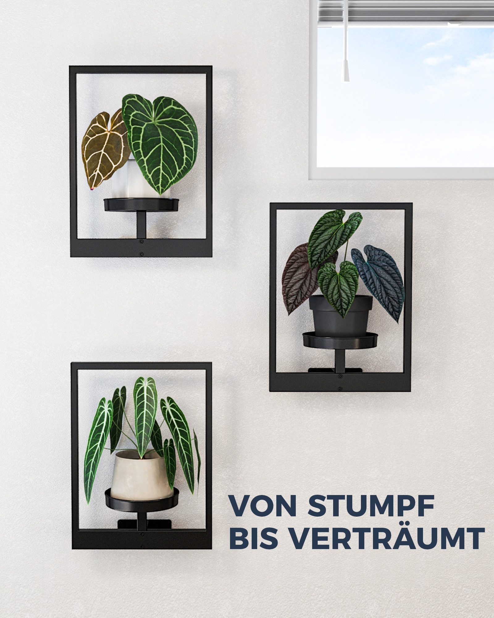 Bamworld Blumenampel Hängegefäße für Zimmerpflanzen, Wanddeko, 3er-Set für Außenbereich (3 St), Wand Pflanzensockel, Innen Wohnzimmer & Garten