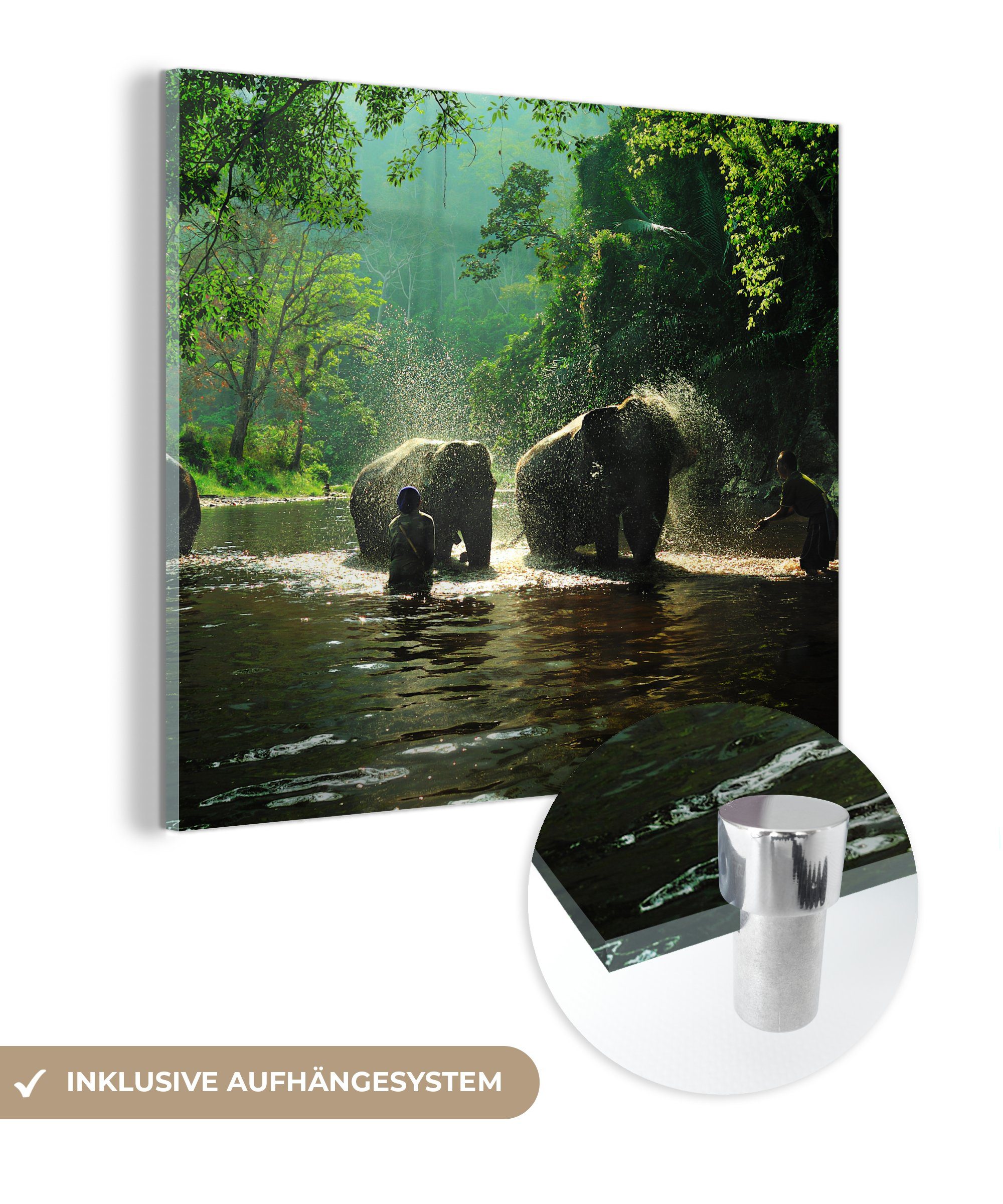 MuchoWow Acrylglasbild Elefant - Wasser - Bäume - Grün - Tiere, (1 St), Glasbilder - Bilder auf Glas Wandbild - Foto auf Glas - Wanddekoration