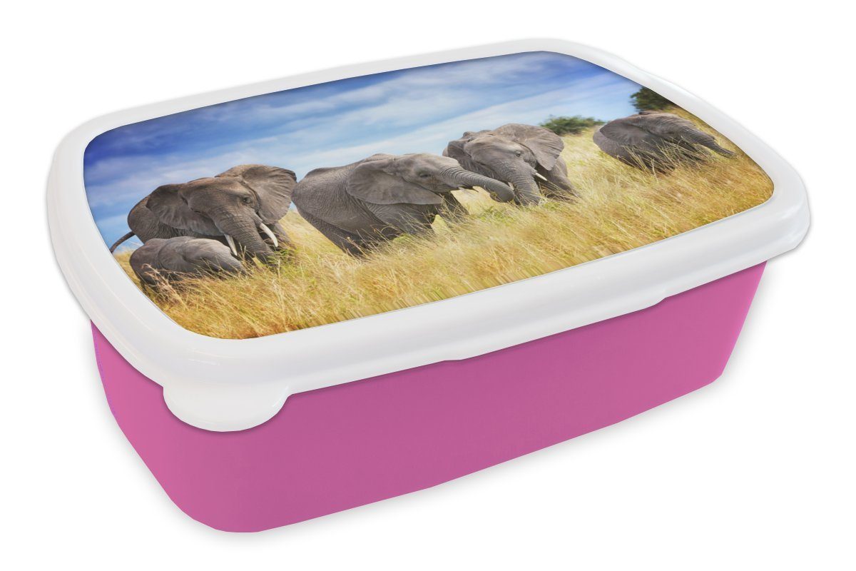MuchoWow Lunchbox Elefanten - Familie - Safari, Kunststoff, (2-tlg), Brotbox für Erwachsene, Brotdose Kinder, Snackbox, Mädchen, Kunststoff rosa