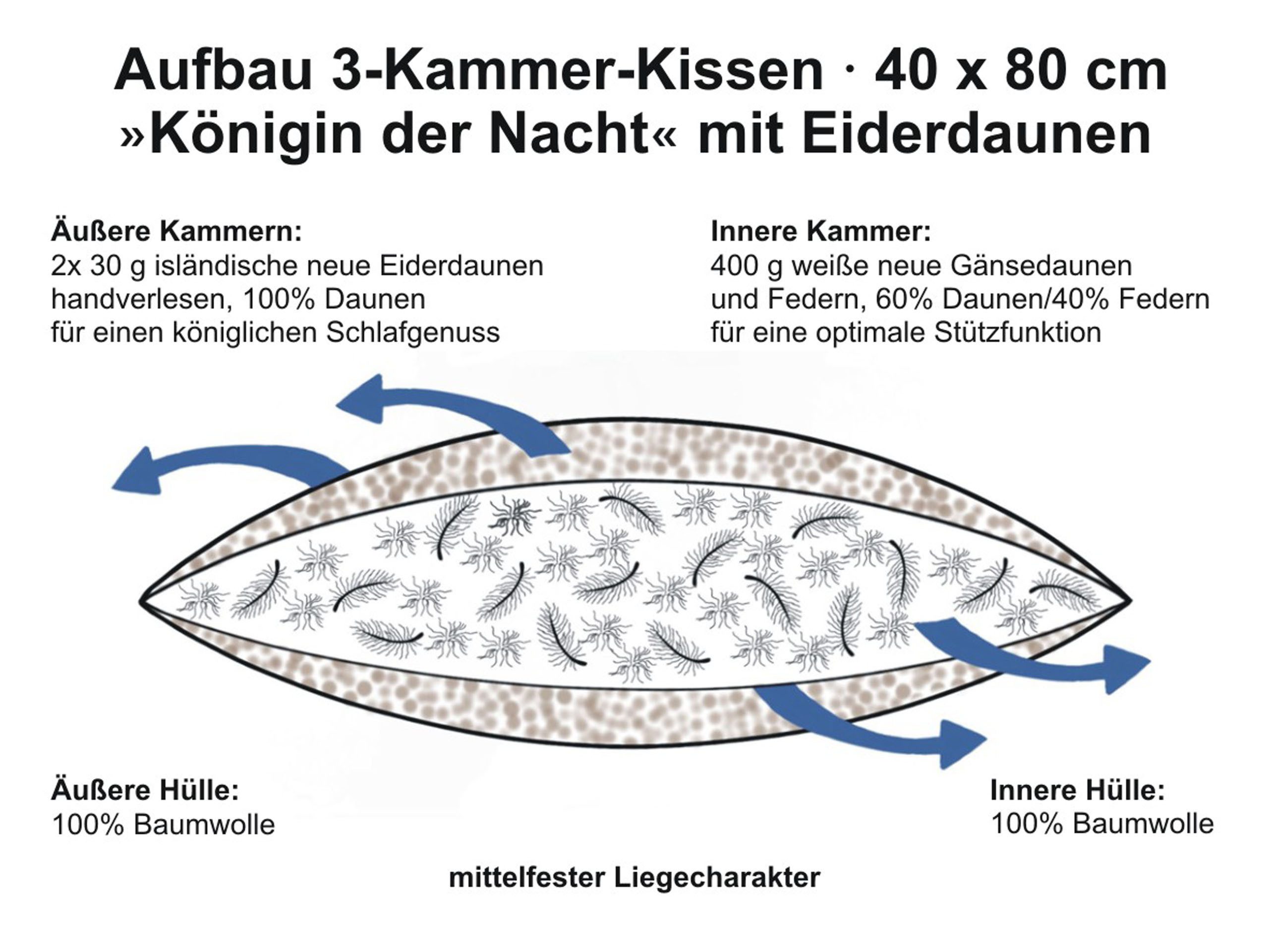 Königin der Nacht Daunenkissen ORIGINAL EIDERDAUNEN 3-Kammer-Kissen, Füllung: isländische neue Eiderdaunen (außen), Seitenschläfer, Rückenschläfer, für Allergiker geeignet