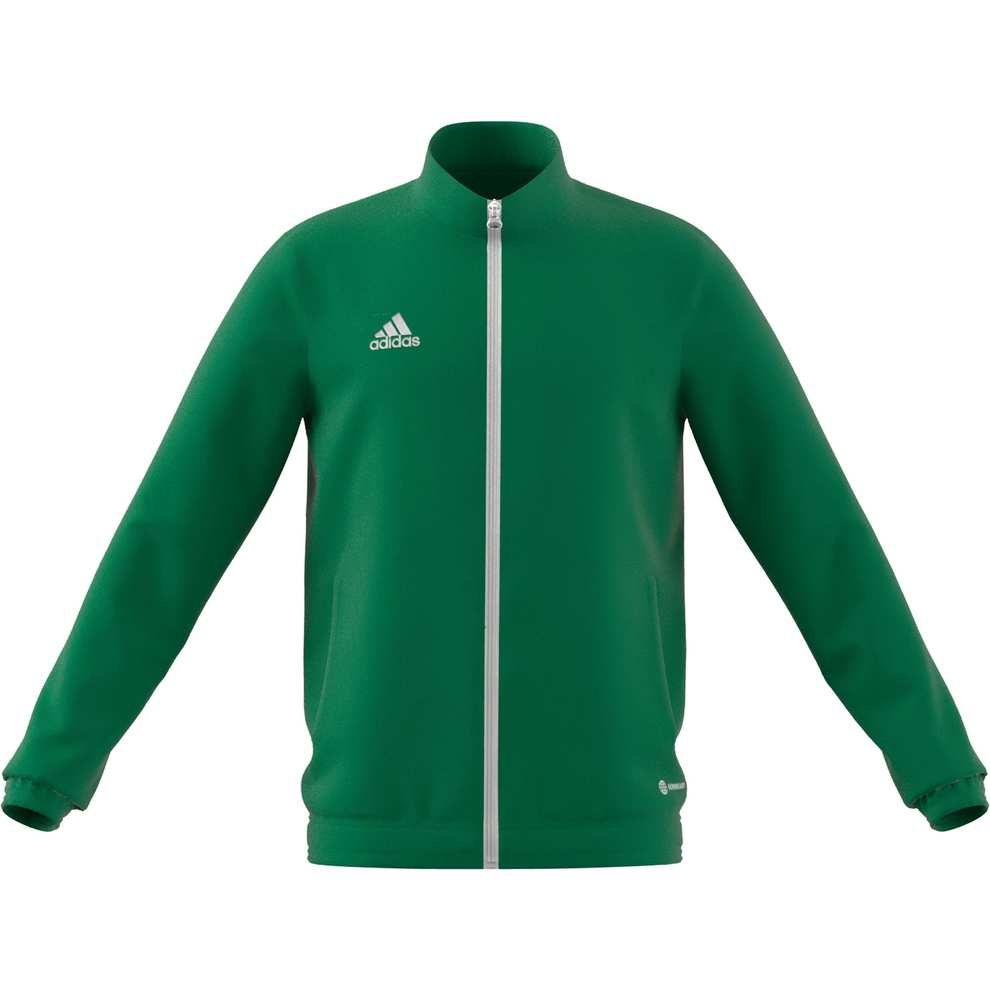Team Green/White