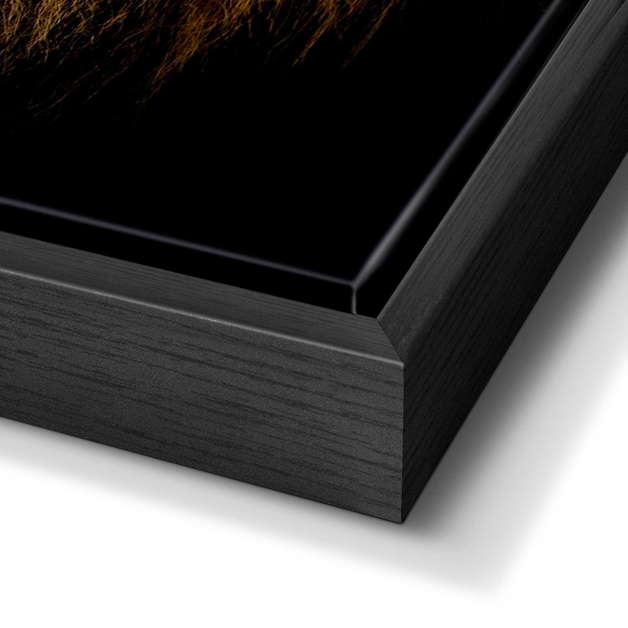 Reinders! Bild Löwe