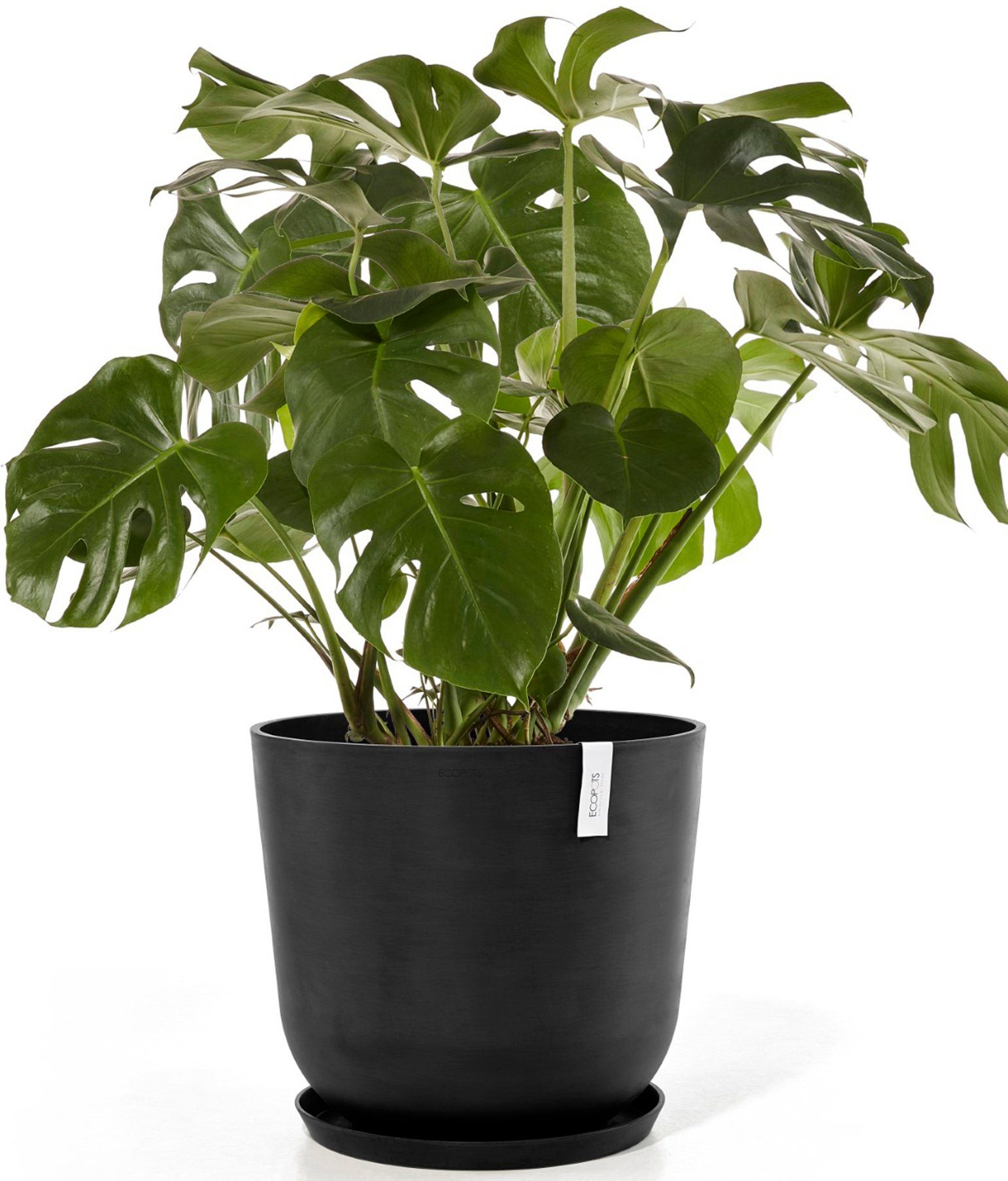 ECOPOTS Blumentopf Oslo 55 + Wassersystem günstig online kaufen