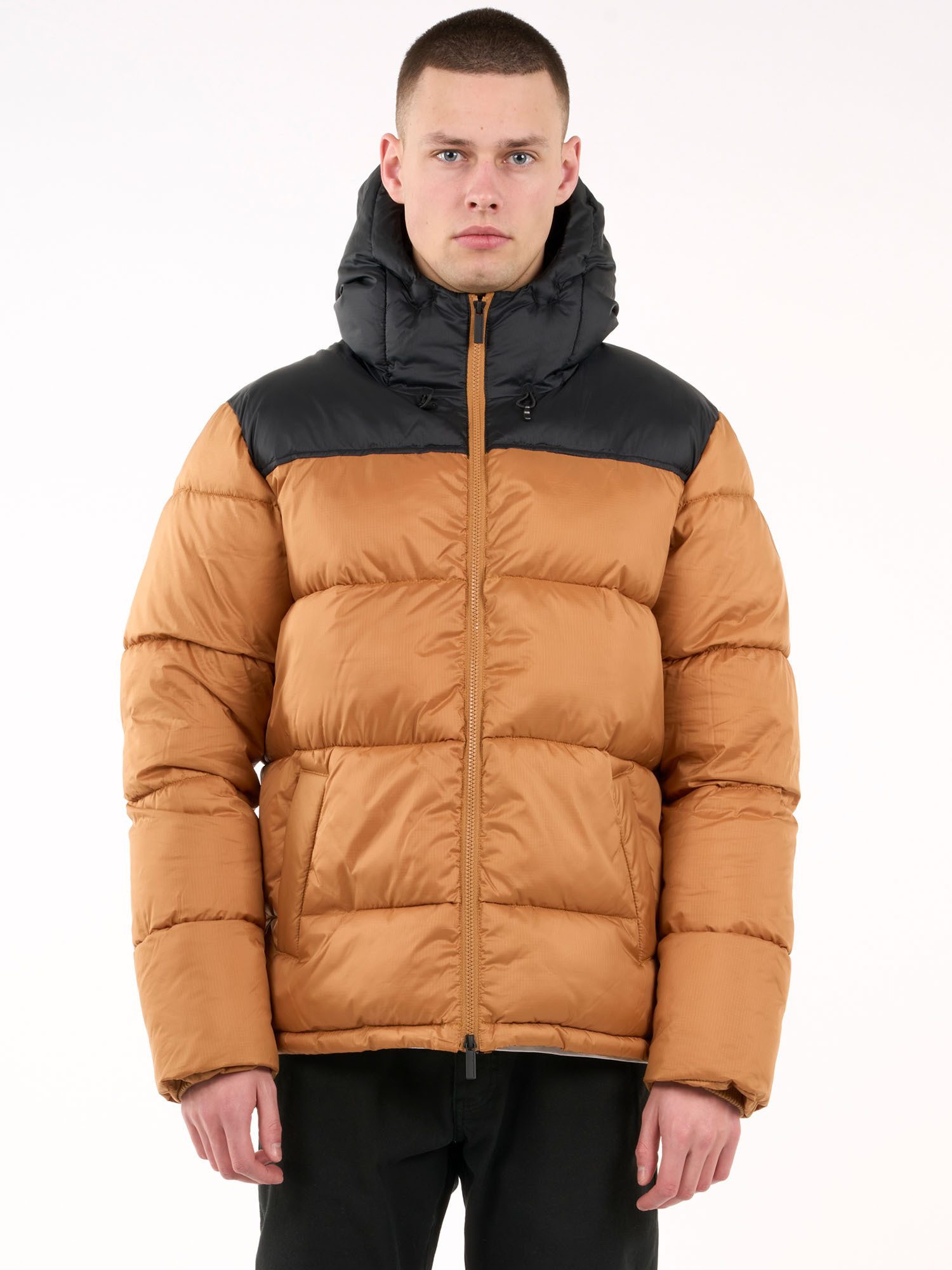 KnowledgeCotton Apparel Winterjacke REPREVE ™ puffer color blocked jacket THERMO ACTIVE ™