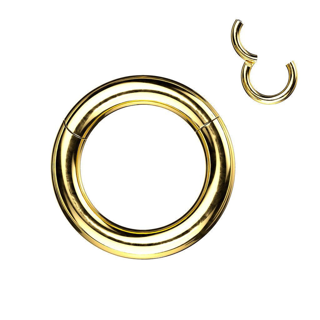 Taffstyle Nasenpiercing Septum Piercing Clicker Ring günstig online kaufen