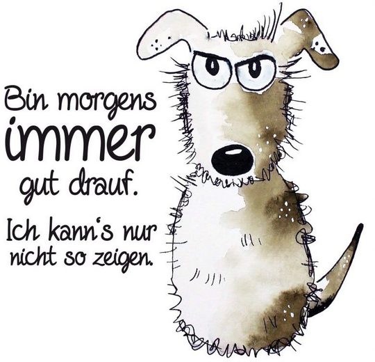 WallArt Wandtattoo »Bin immer gut drauf« (1 Stück) online