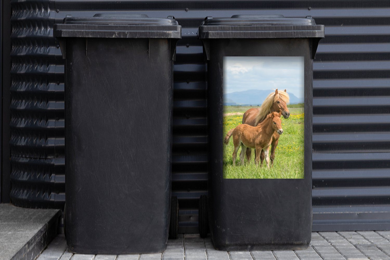 Mülltonne, St), Mülleimer-aufkleber, (1 MuchoWow Gebirge Pferde - - Sticker, Wandsticker Fohlen Abfalbehälter Container,
