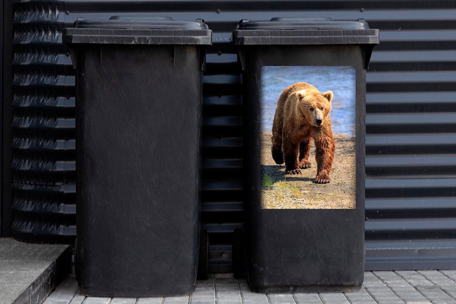 Mülleimer-aufkleber, (1 MuchoWow Wandsticker Bär - - Land - Sticker, Container, St), Abfalbehälter Mülltonne, Grizzly Wasser