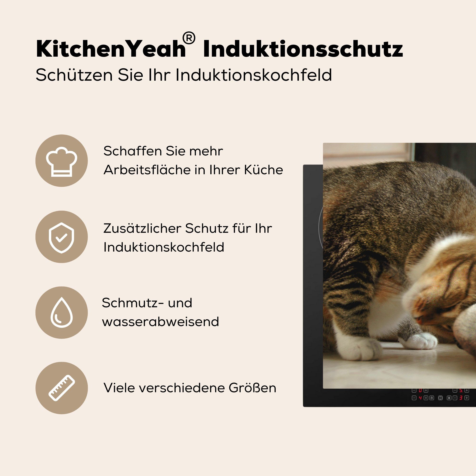 Induktionskochfeld Schutz für Hund - Herdblende-/Abdeckplatte 81x52 tlg), Katze Tiere, (1 MuchoWow küche, die - Ceranfeldabdeckung cm, Vinyl,