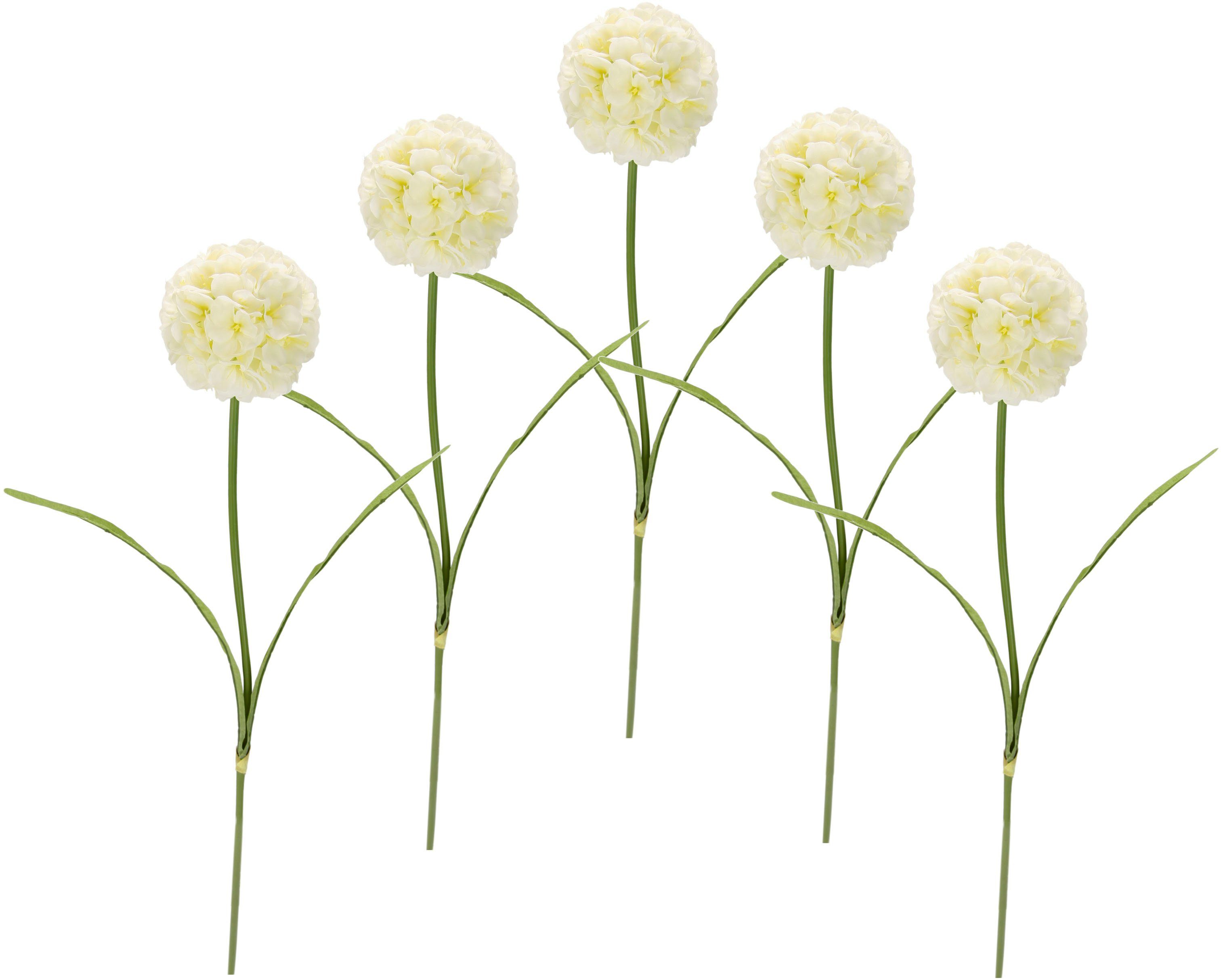 Kunstblume Allium, I.GE.A., Höhe 67 cm, 5er Set weiß