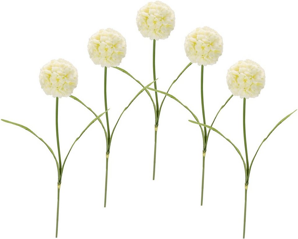Kunstblume Allium, I.GE.A., Höhe 67 cm, 5er Set