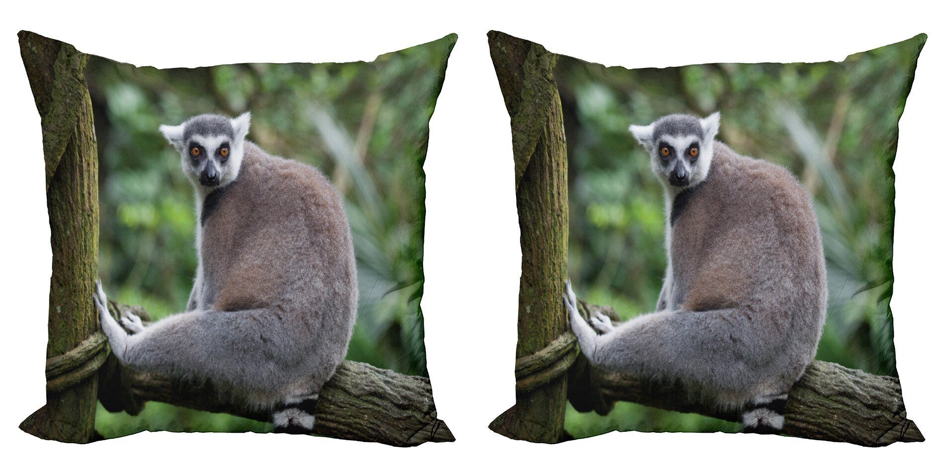 Kissenbezüge Modern Accent Doppelseitiger Digitaldruck, von Lemur (2 Säugetiere Madagaskar Abakuhaus Stück), Foto