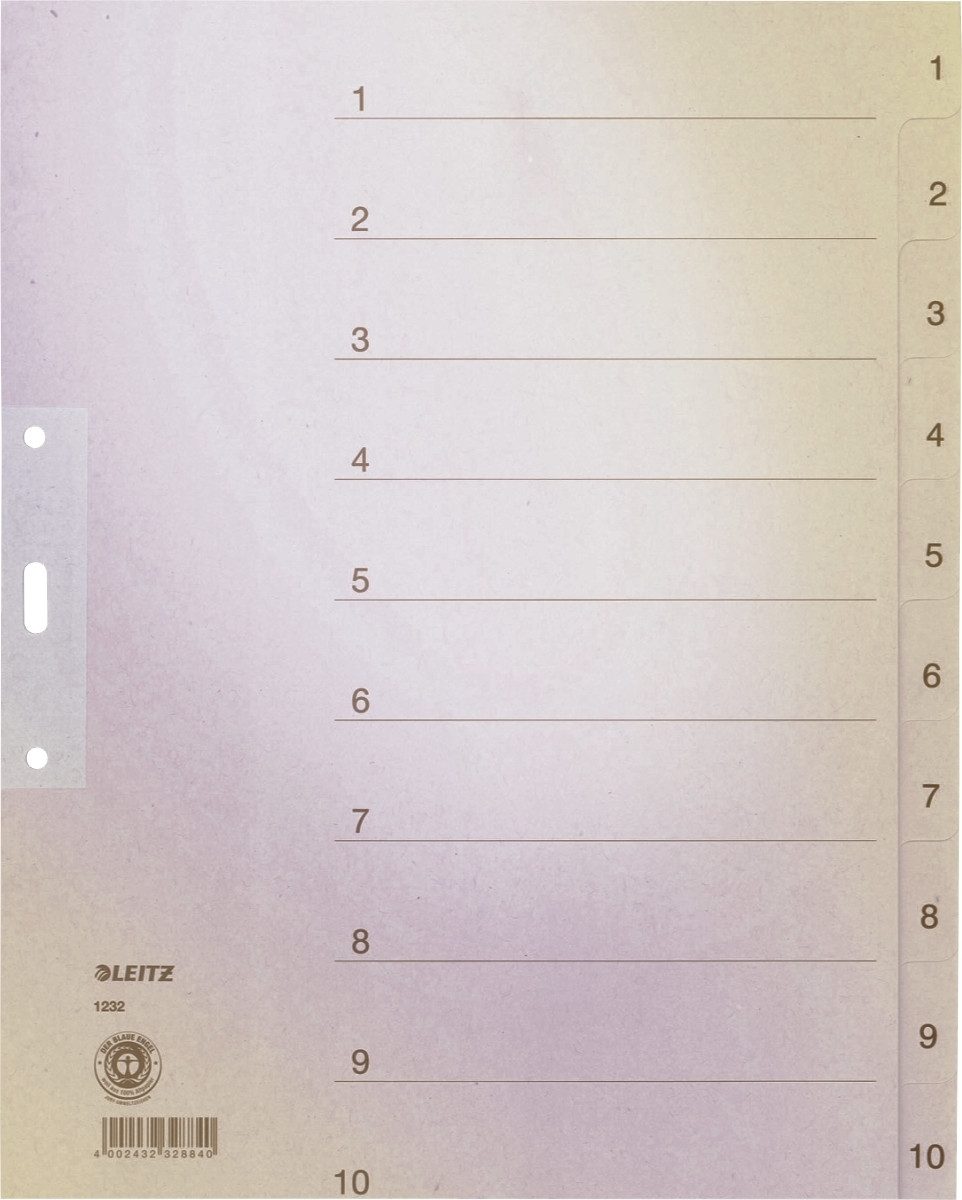 LEITZ Aktenordner Register A4+ Tauenpapier 1-10 grau