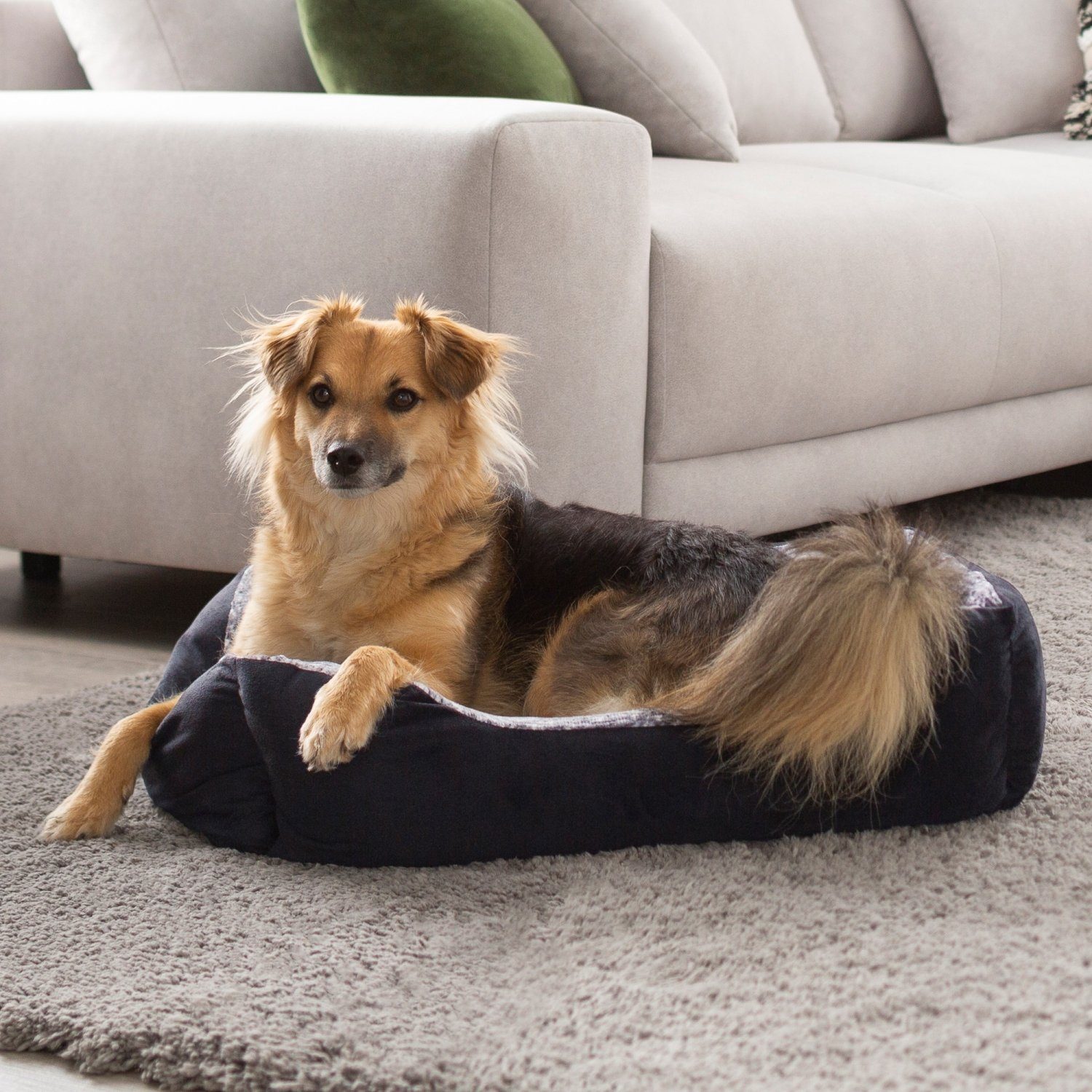 PETSTUFF Tierbett Hundebett Hundematratze Hundekissen Tierkissen, günstig online kaufen