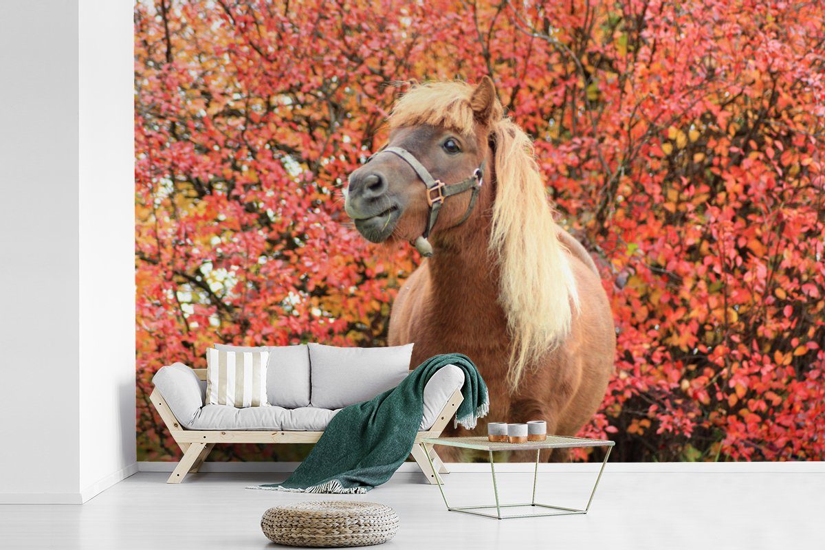 MuchoWow Fototapete Pferd - Pony Matt, St), Schlafzimmer, bedruckt, Kinderzimmer, Herbstblätter, für - Tapete Vinyl Wohnzimmer, (6 Wallpaper