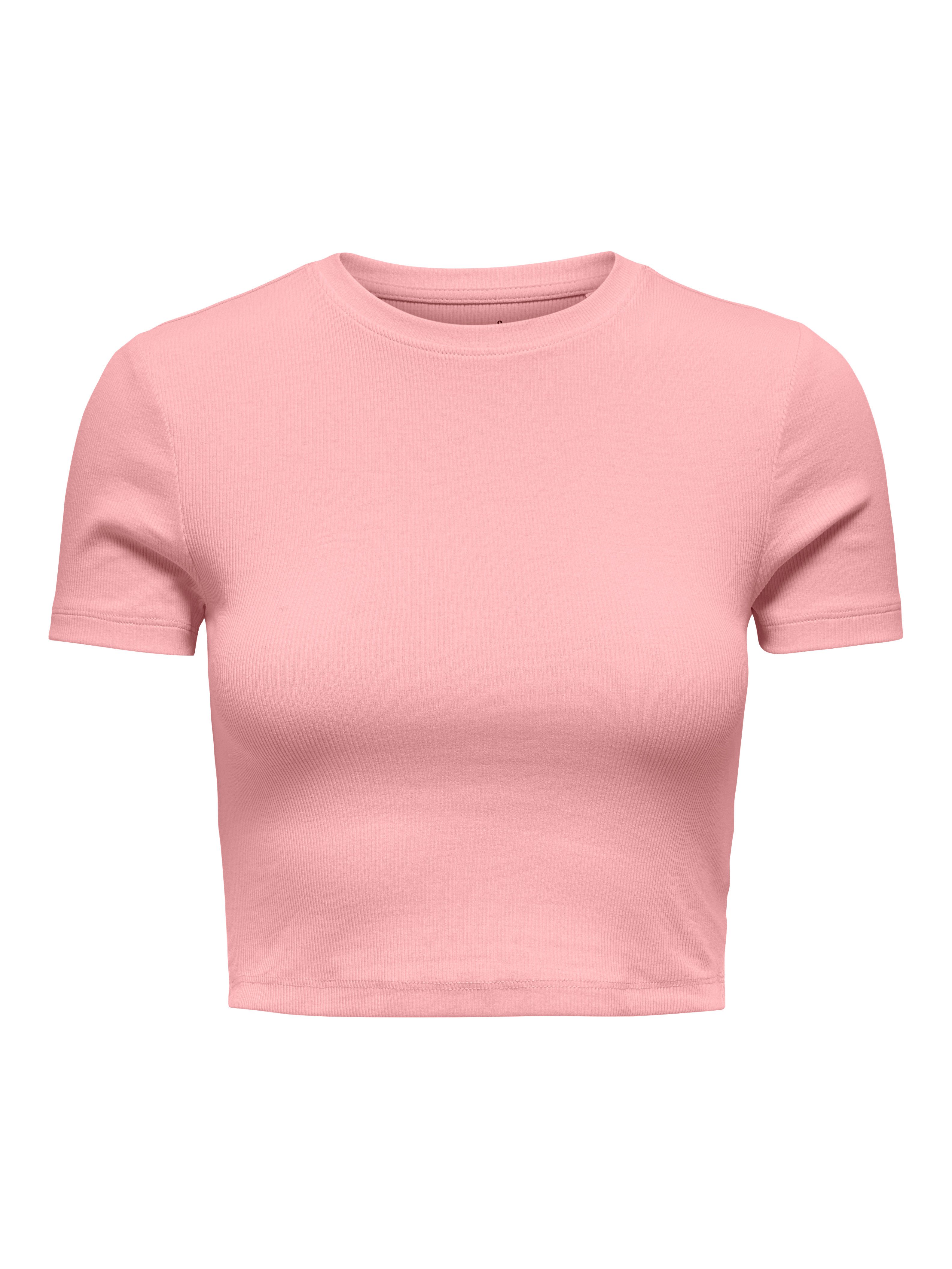 ONLY Kurzarmshirt ONLBETTY S/S O-NECK SHORT TOP CC JRS softe Jerseyqualität günstig online kaufen