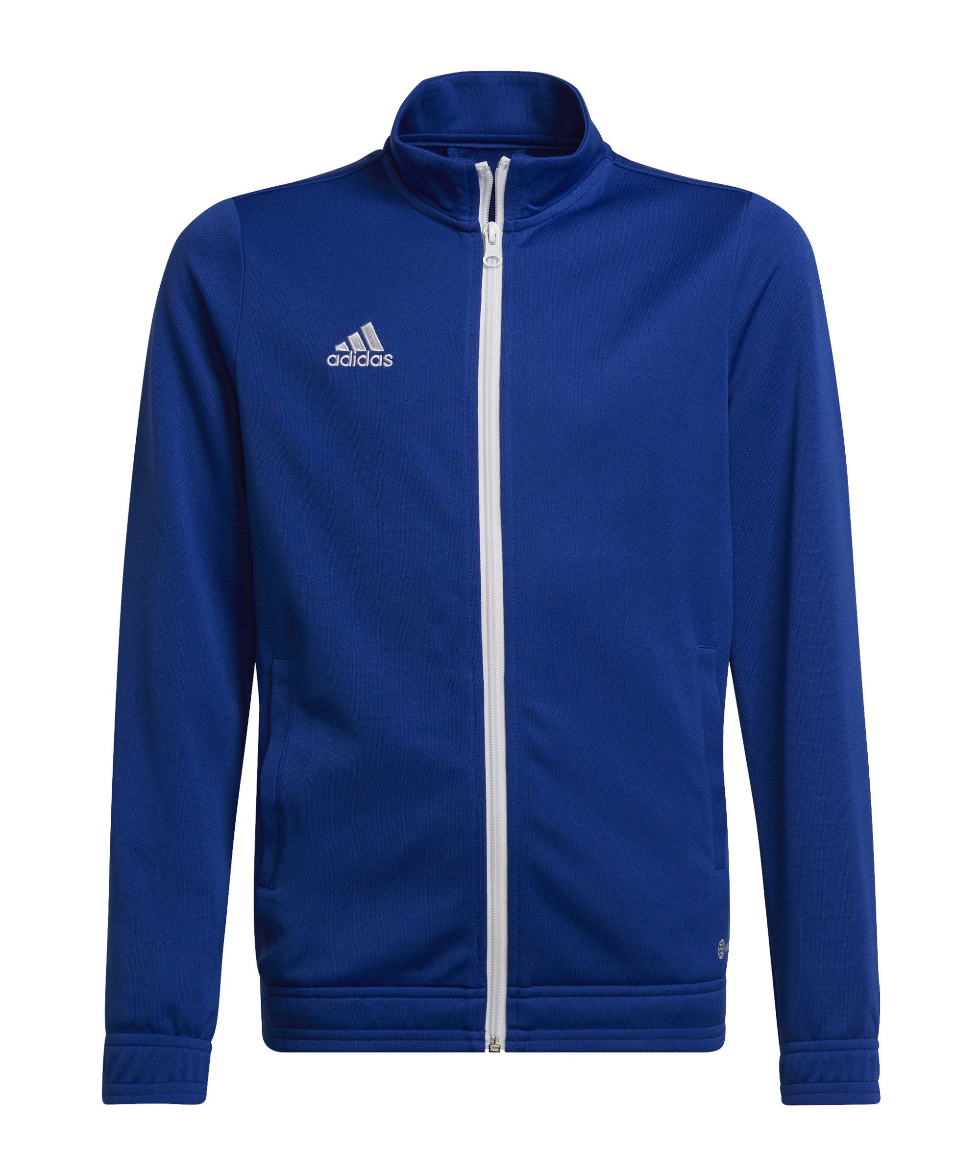 Team Royal Blue