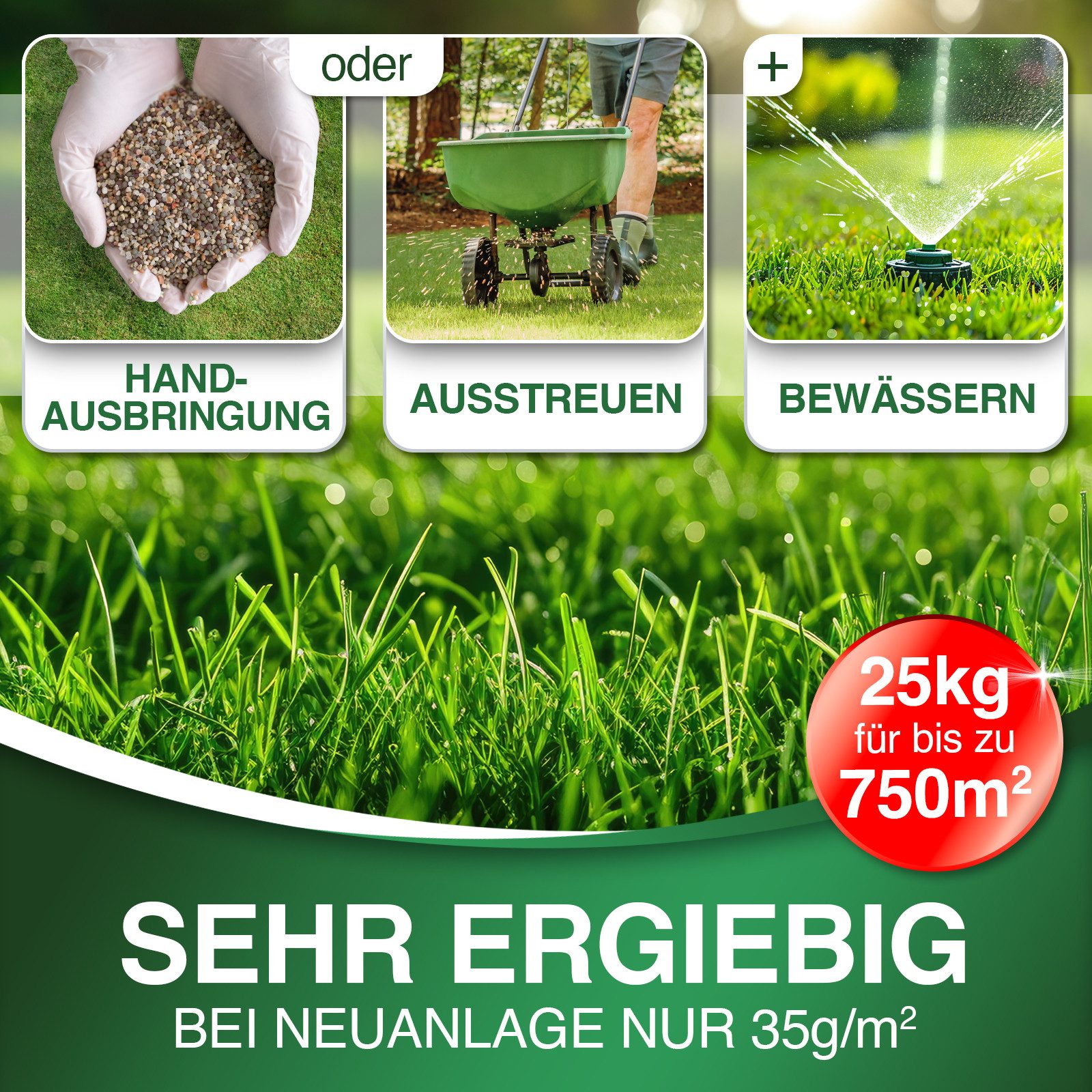 DÜNGEMEISTER Rasen-Langzeitdünger Rasendünger Frühjahr/Sommer für sofort günstig online kaufen