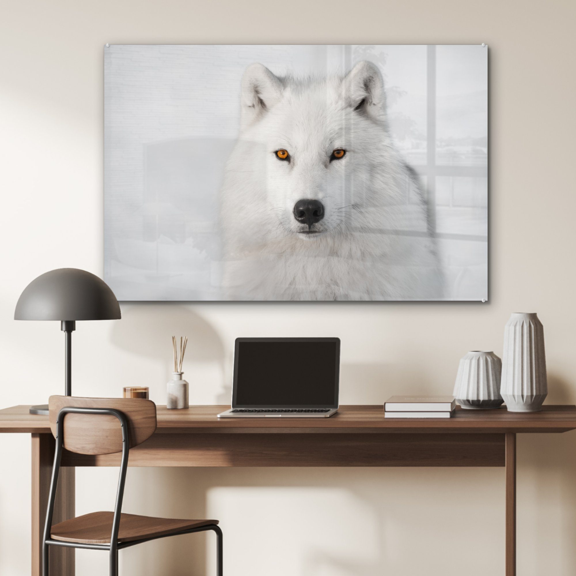 Acrylglasbild Acrylglasbilder weißem St), Wohnzimmer Schlafzimmer MuchoWow & (1 Wolf Hintergrund, Weißer auf