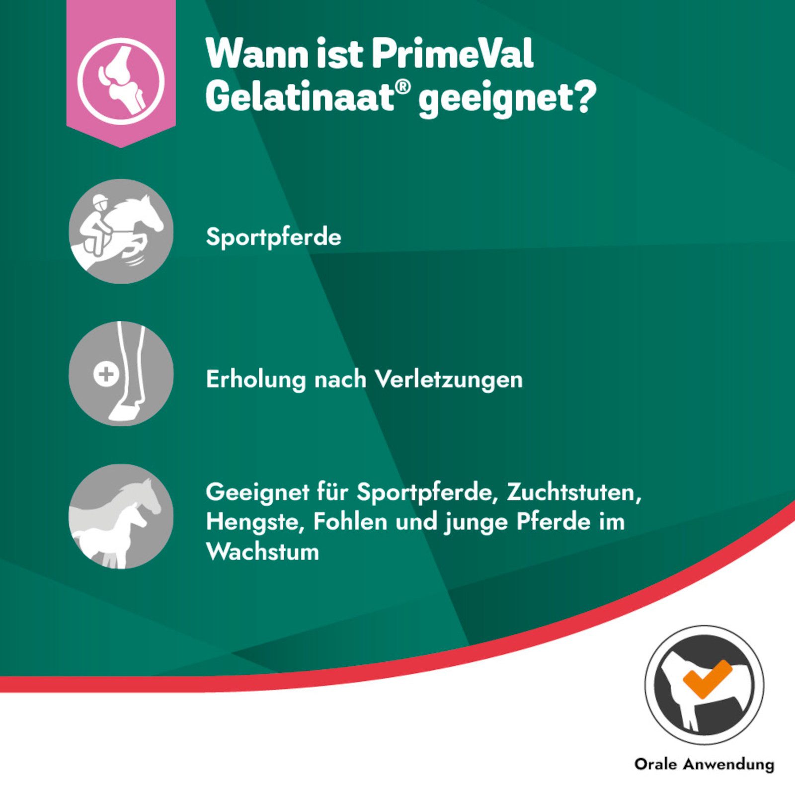 PrimeVal Gelatinaat für Pferde, fördert die Muskelkondition und den Erhalt k..., Ergänzungsfutter für: Pferde