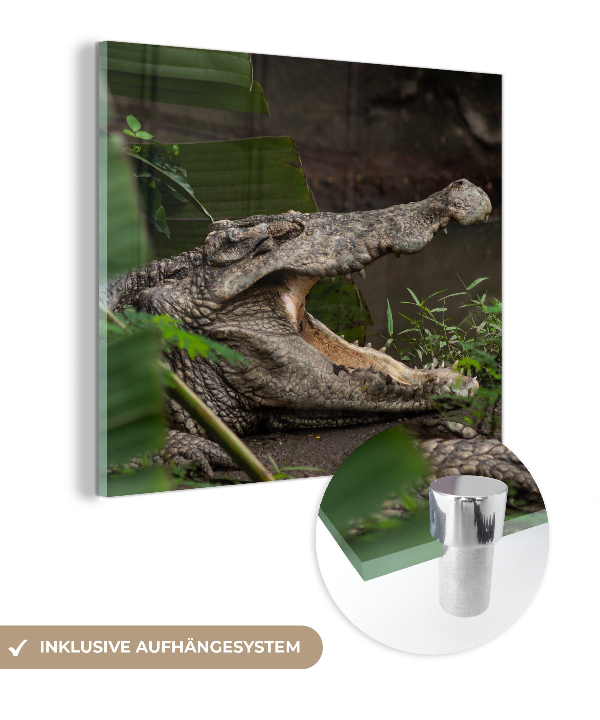 (1 - Glas Glas Krokodil auf - auf Glasbilder Foto offenem Bilder Maul, - mit Acrylglasbild Wandbild St), MuchoWow Wanddekoration