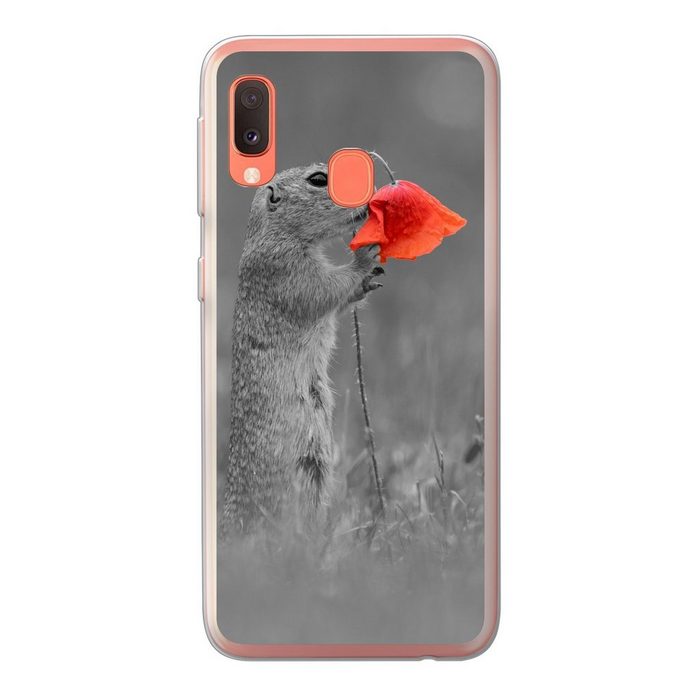 MuchoWow Handyhülle Eichhörnchen schnüffelt an roter Blume schwarz-weiß von Fotograf Dick Handyhülle Samsung Galaxy A20e Smartphone-Bumper Print Handy